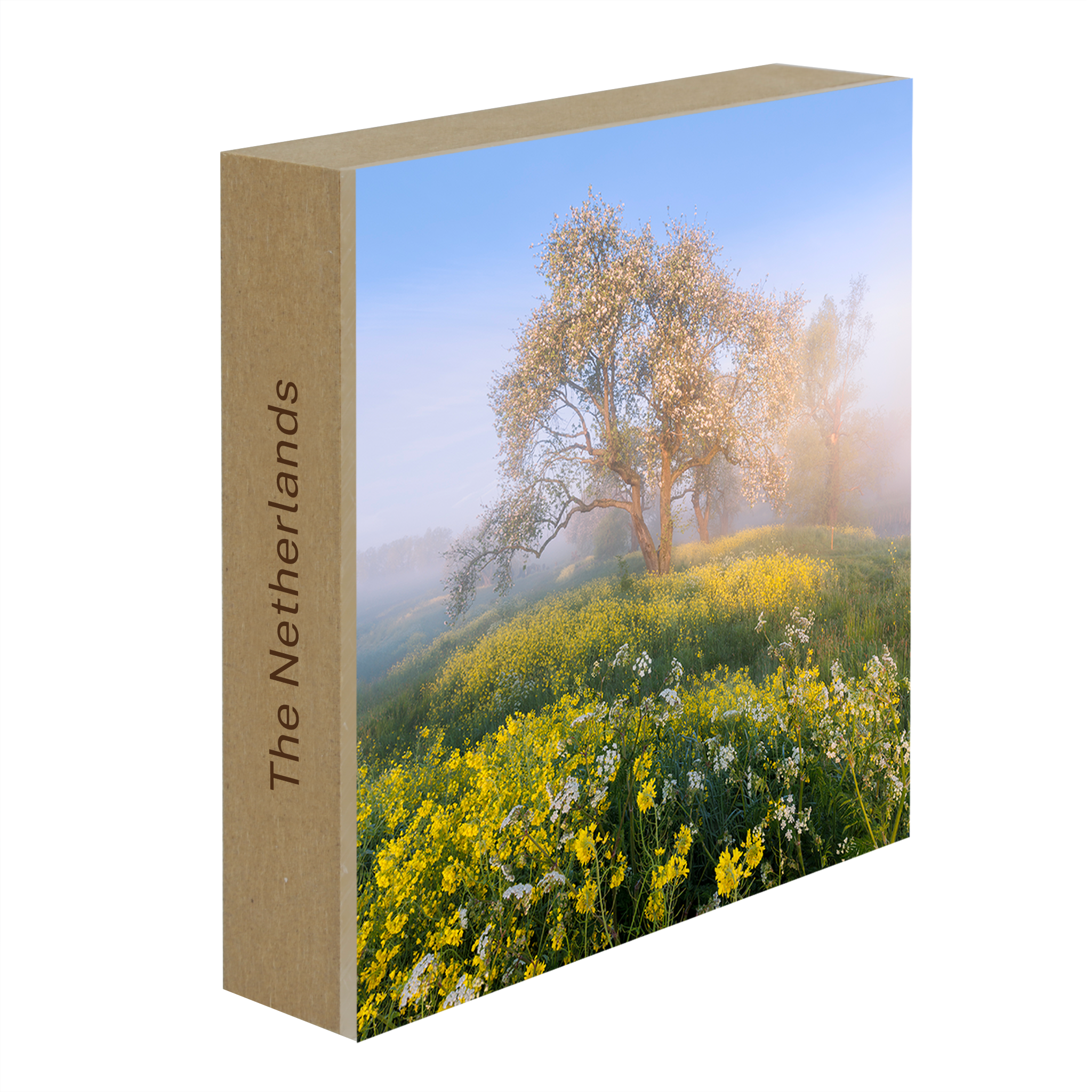 Blossom in De Betuwe- Collection: The Netherlands