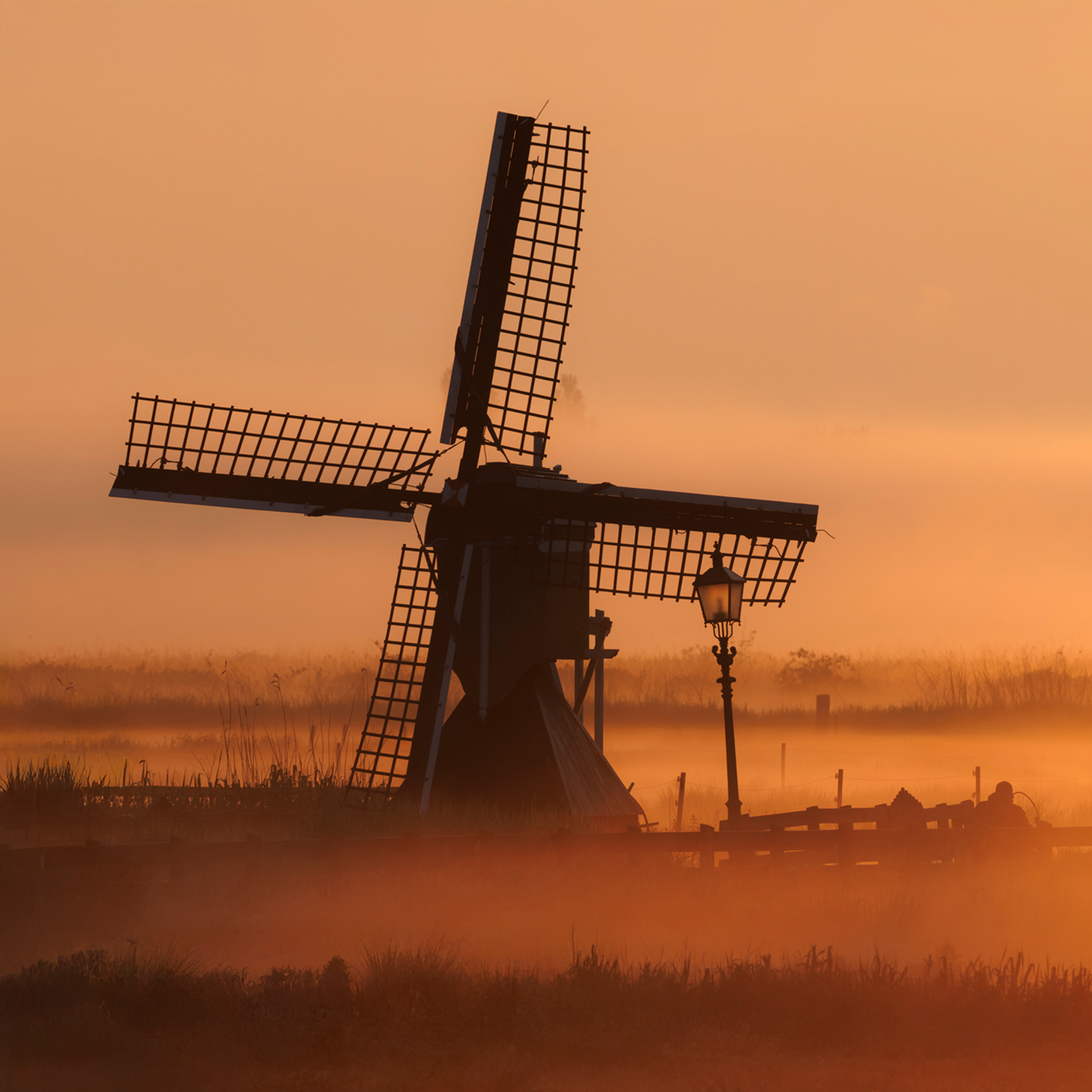 Zaanse Schans in Orange- Collection: The Netherlands