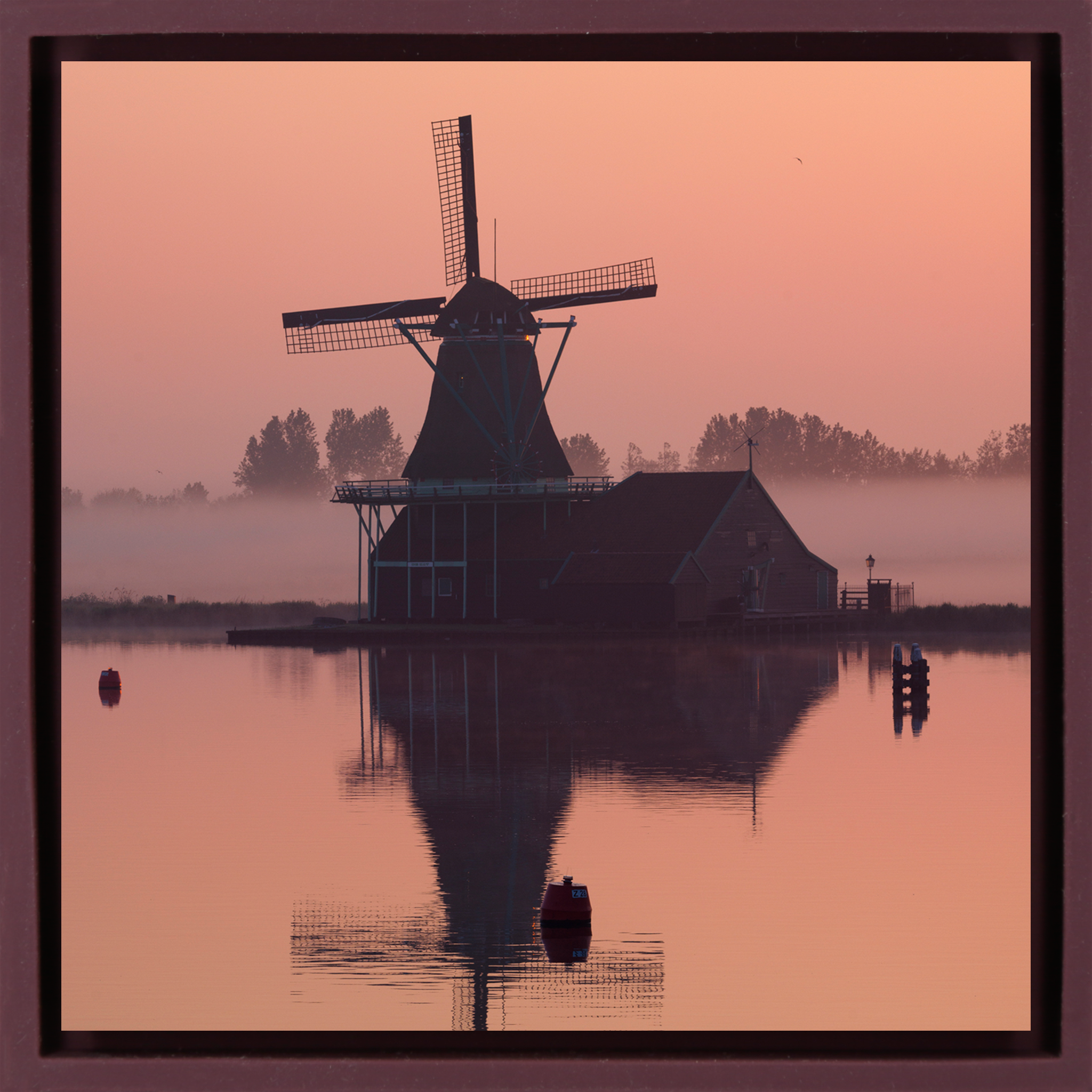 The Standstill at Zaanse Schans - Paarse Wrapp