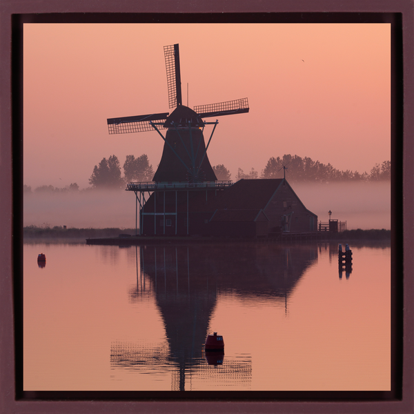 The Standstill at Zaanse Schans - Purple Wrapp