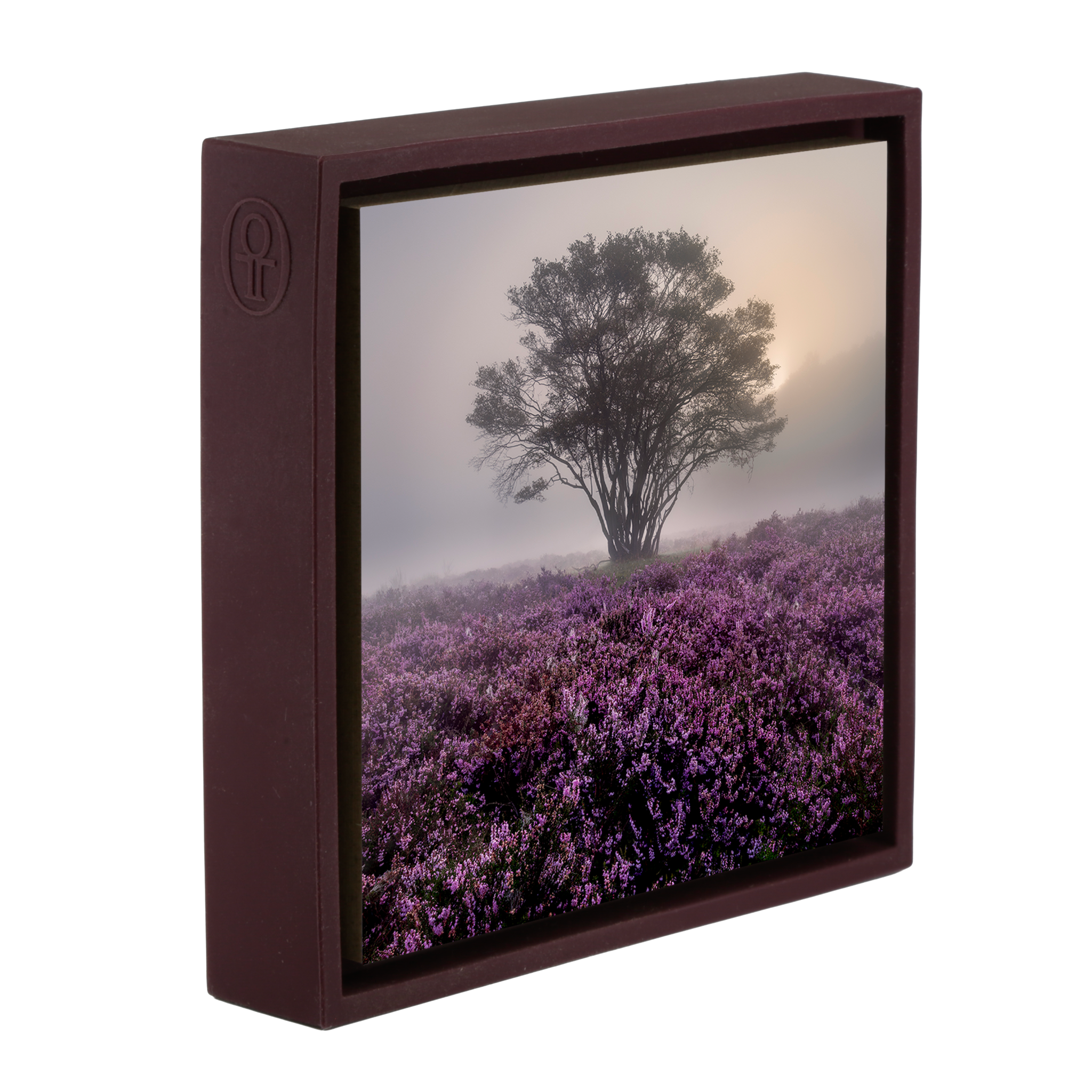 Purple Heather - Paarse Wrapp