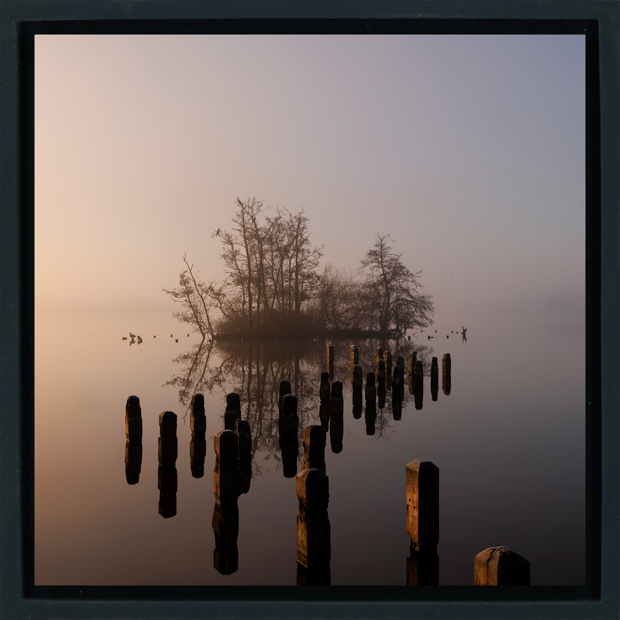 Island in De Poel- Black Wrapp