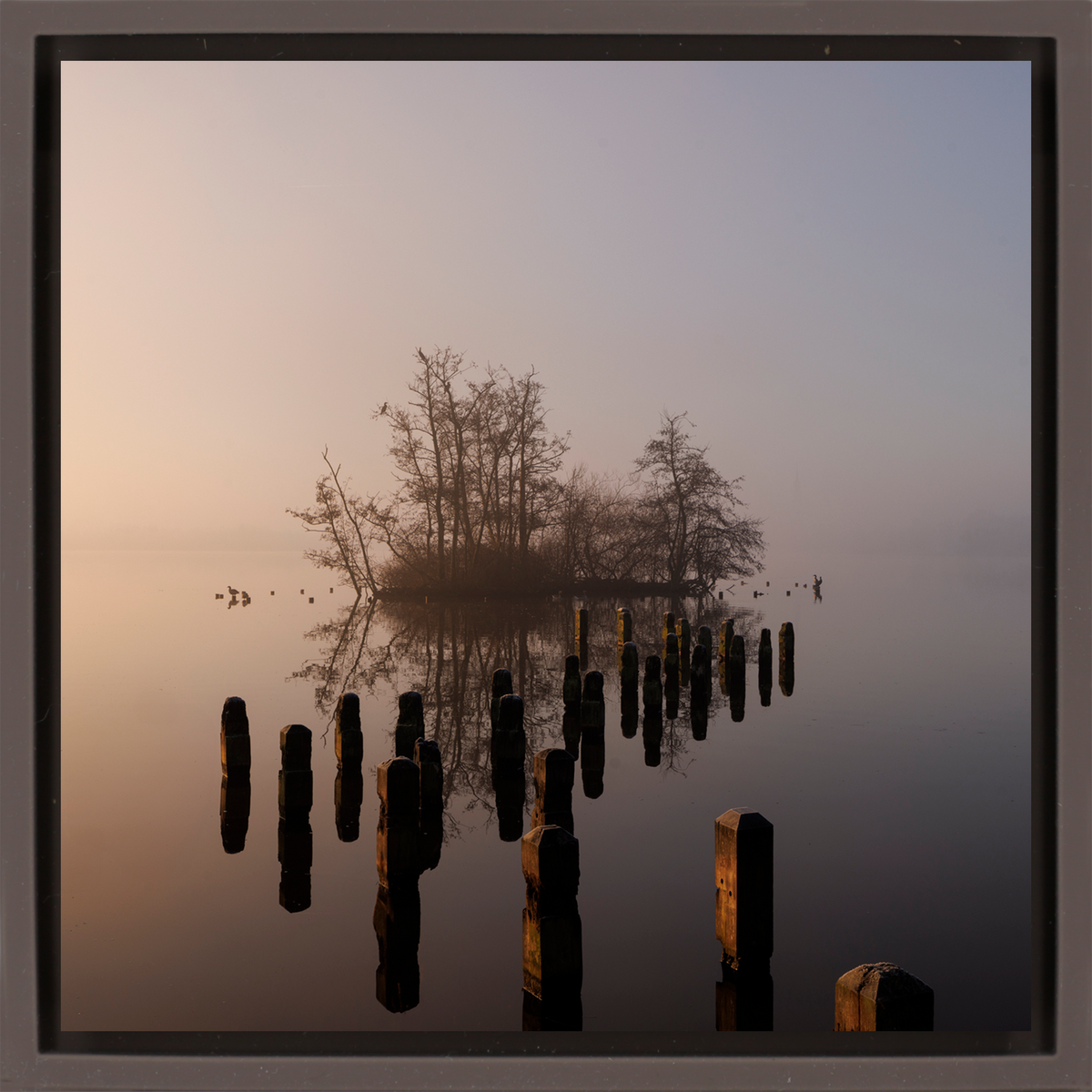 Island in De Poel