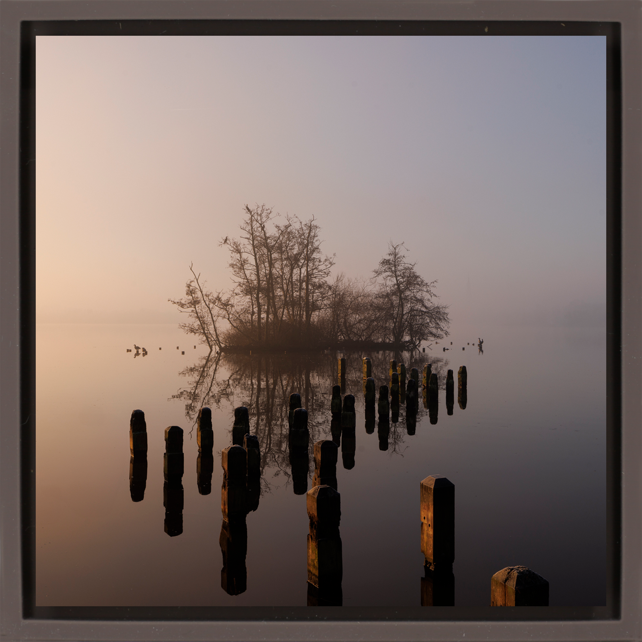 Island in De Poel- Brown Wrapp