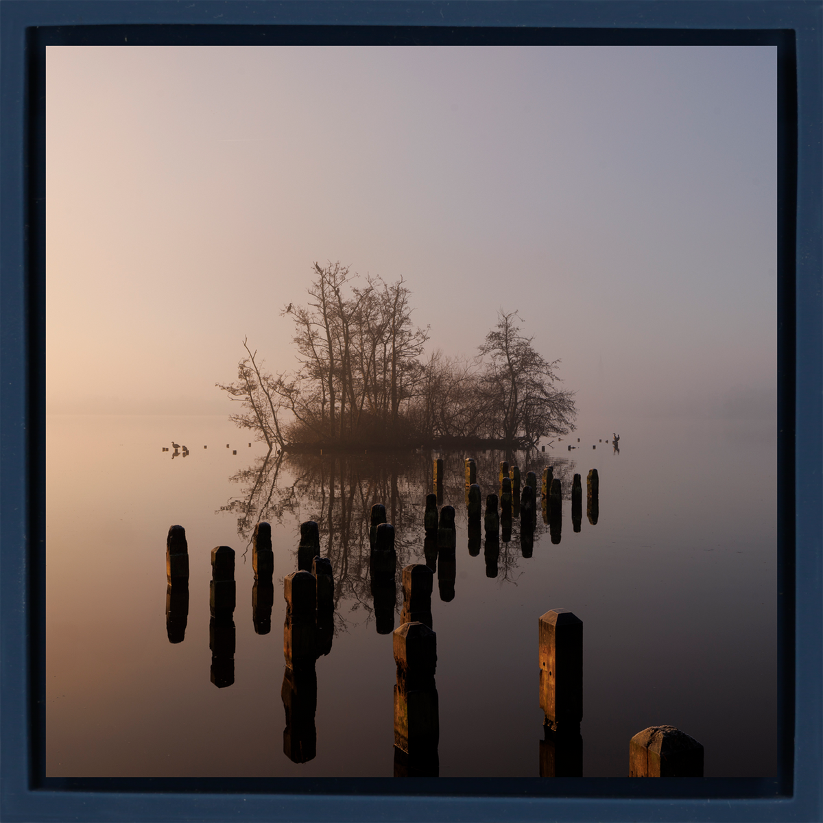Island in De Poel