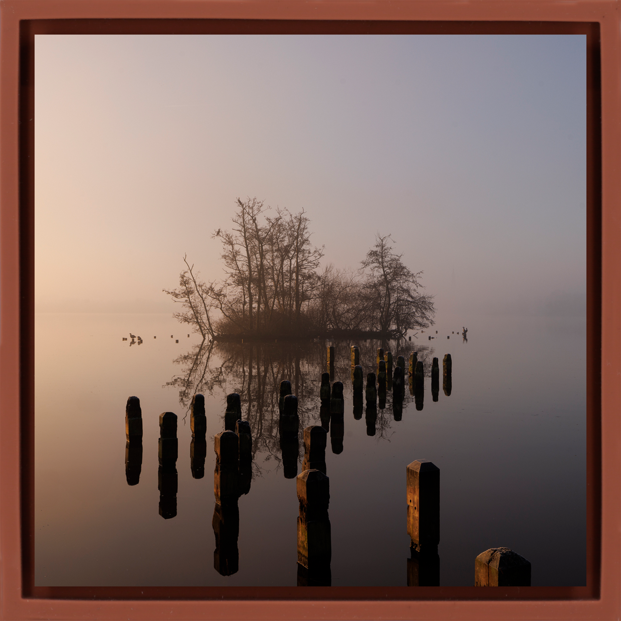 Island in De Poel- Terra Wrapp