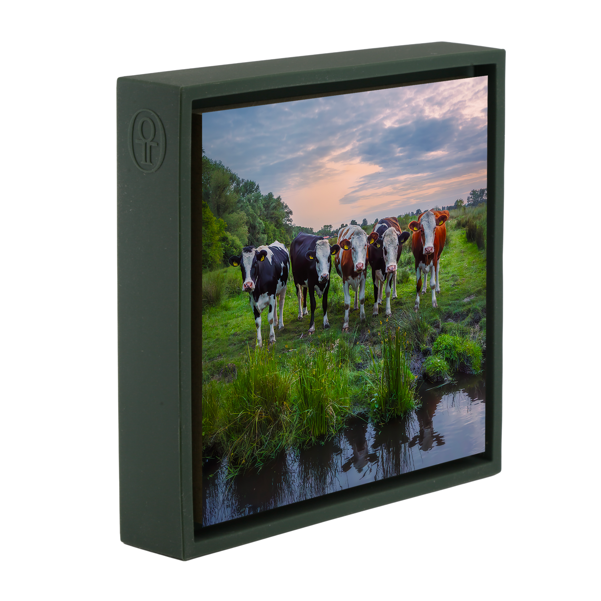 Curious Observers- Dark Green Wrapp
