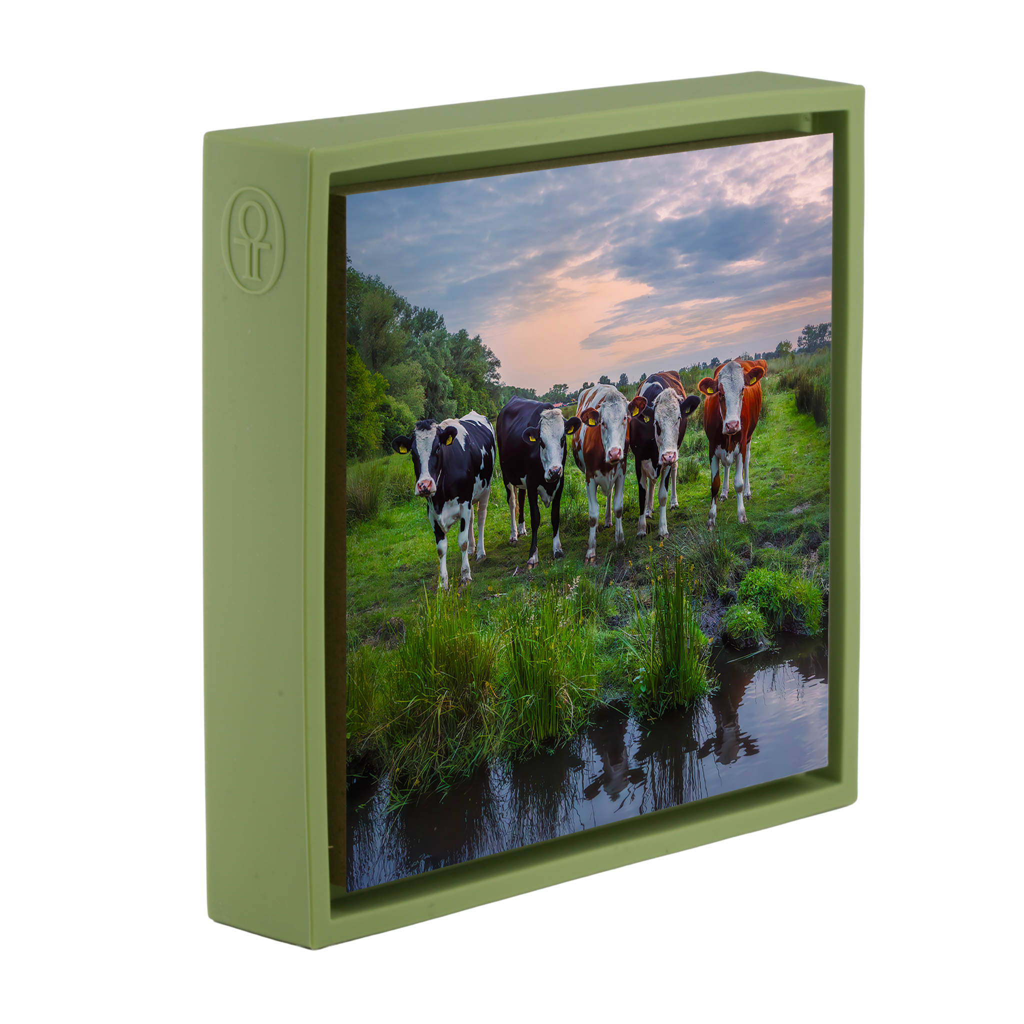 Curious Observers- Light Green Wrapp