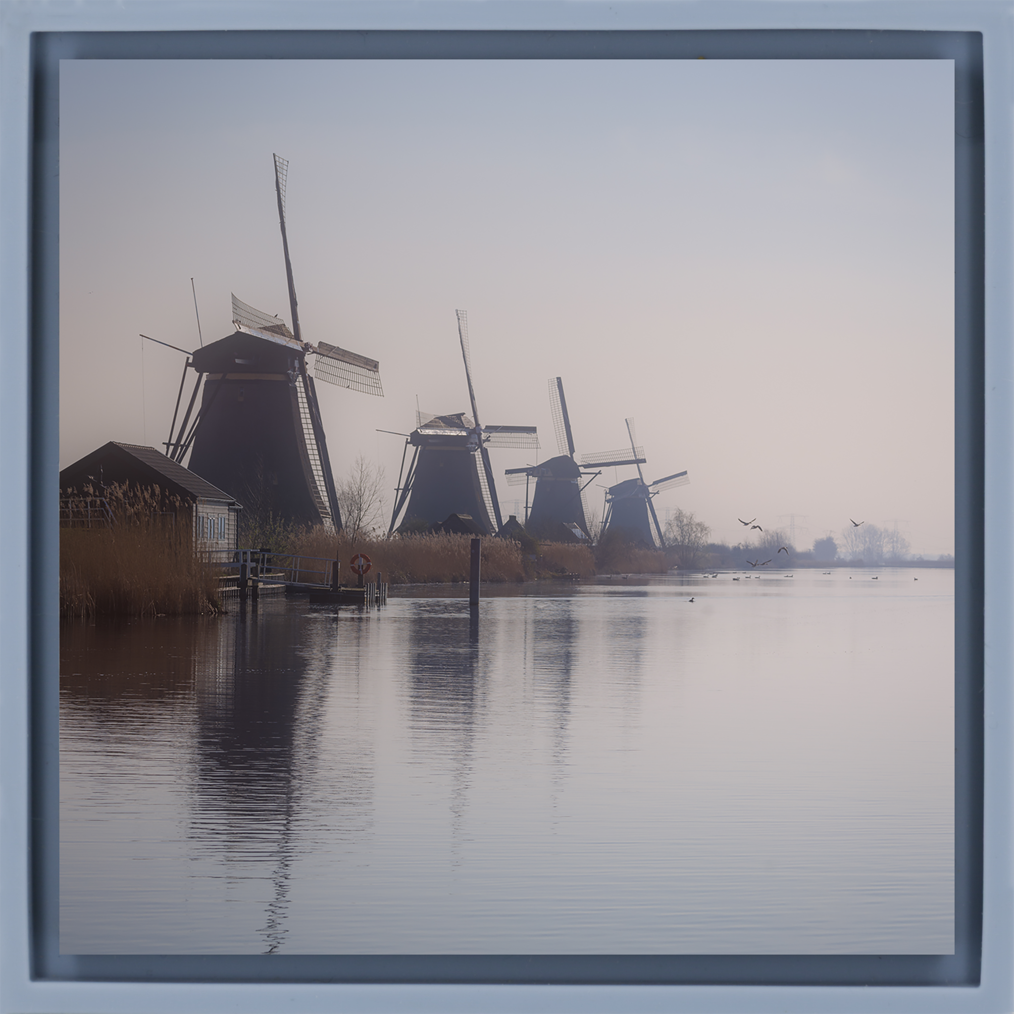 The Giants of Kinderdijk- Light Blue Wrapp