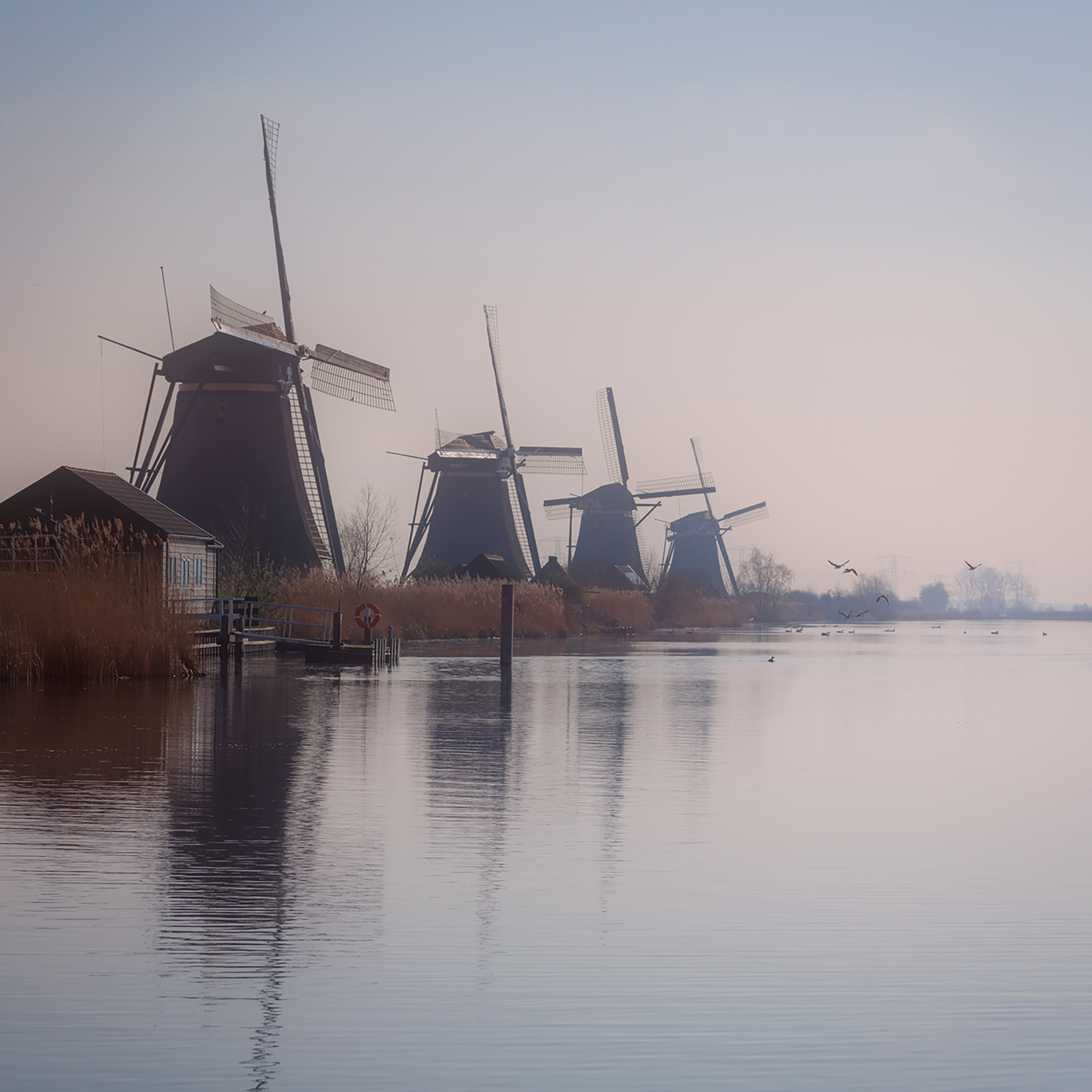 The Giants of Kinderdijk- Collection: The Netherlands