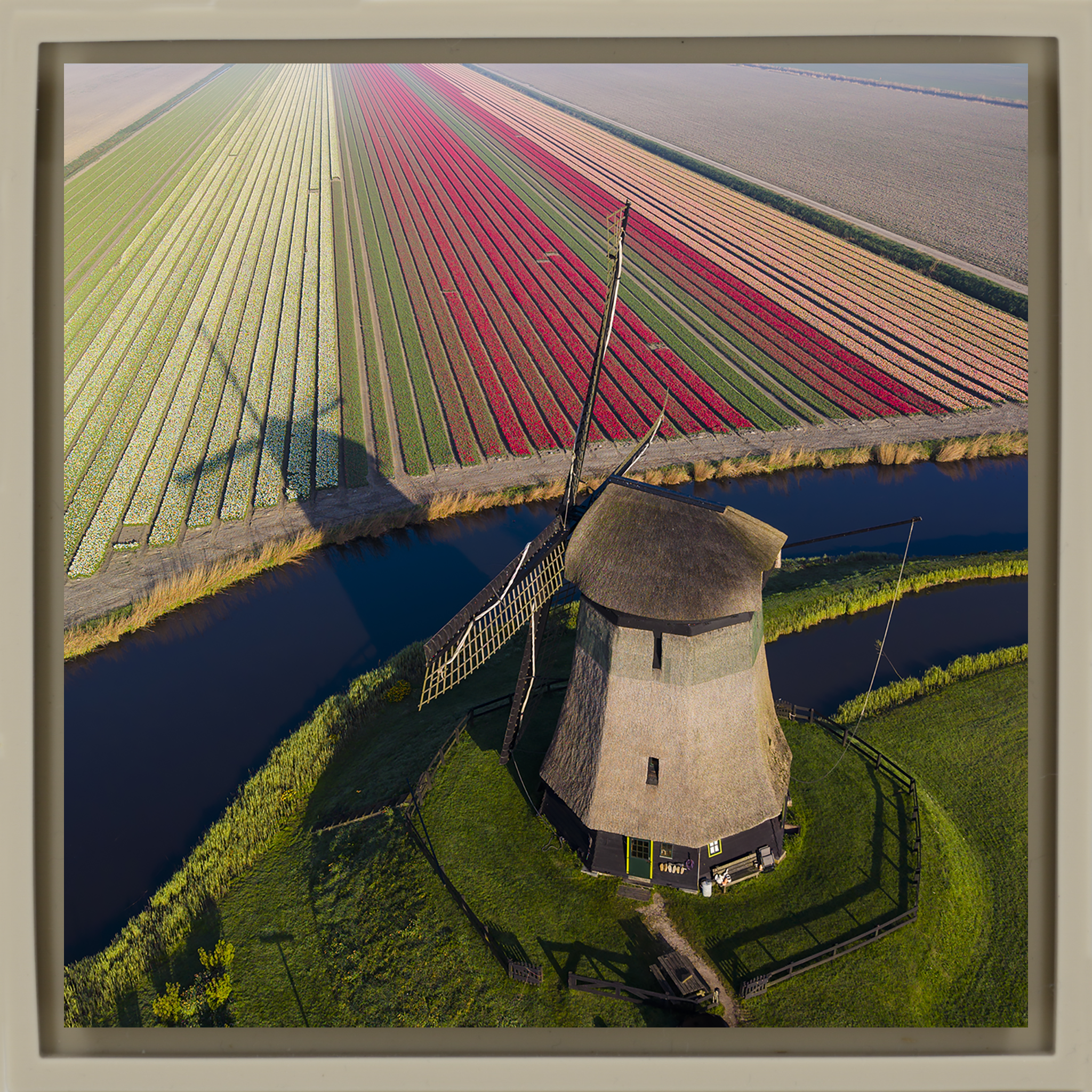 Lines of Spring- Sand Wrapp