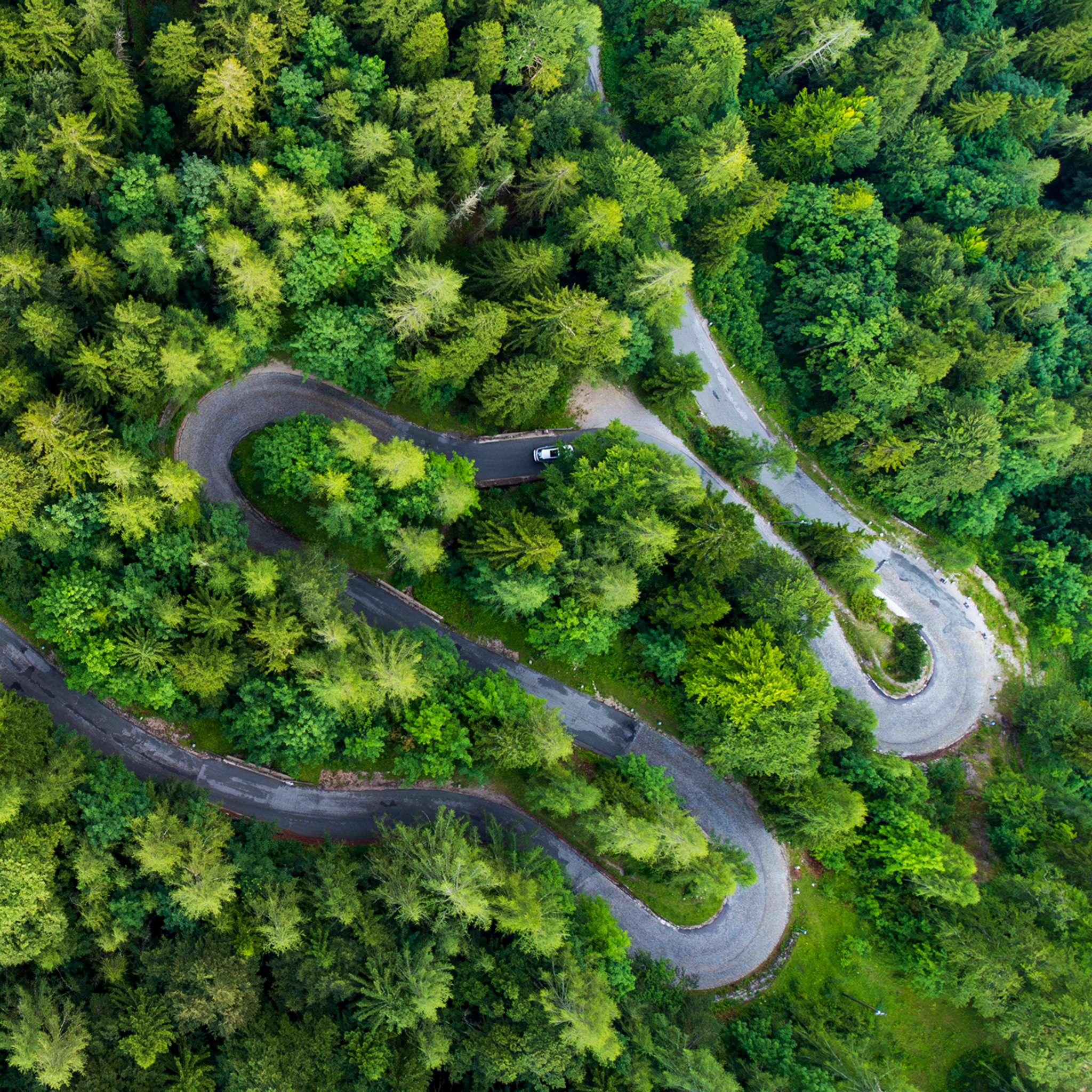 The Gradient- Collection: Slovenia