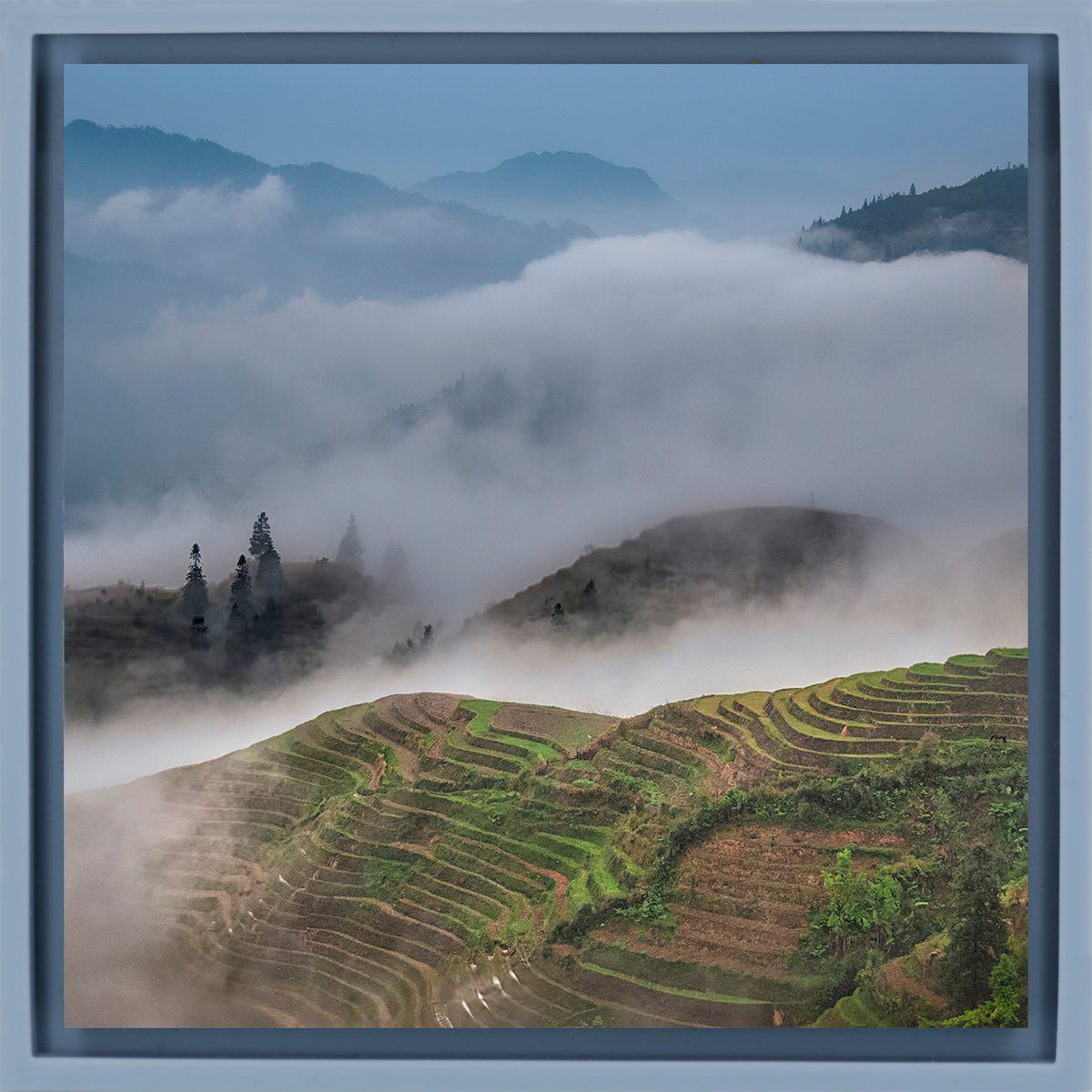 Rice Terraces