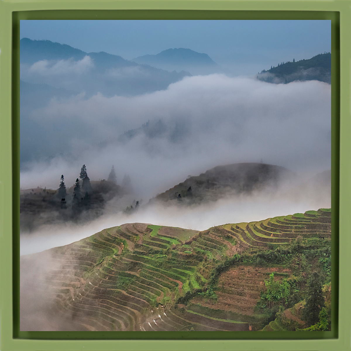 Rice Terraces