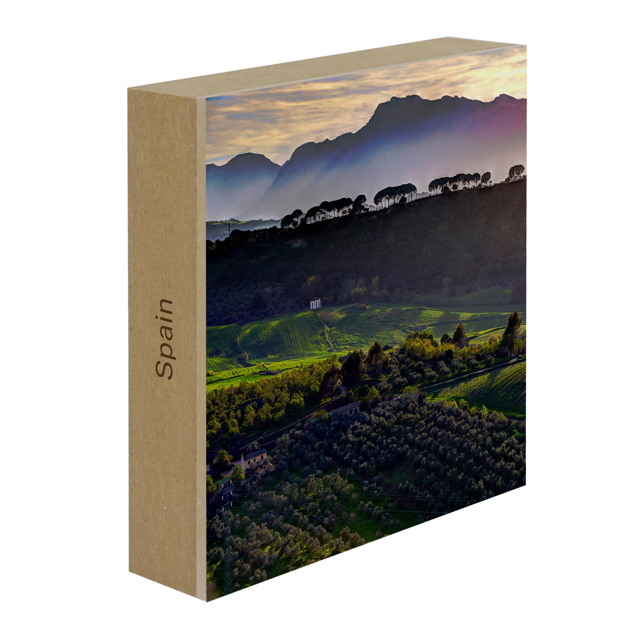 Andalucia - Collection: Spain