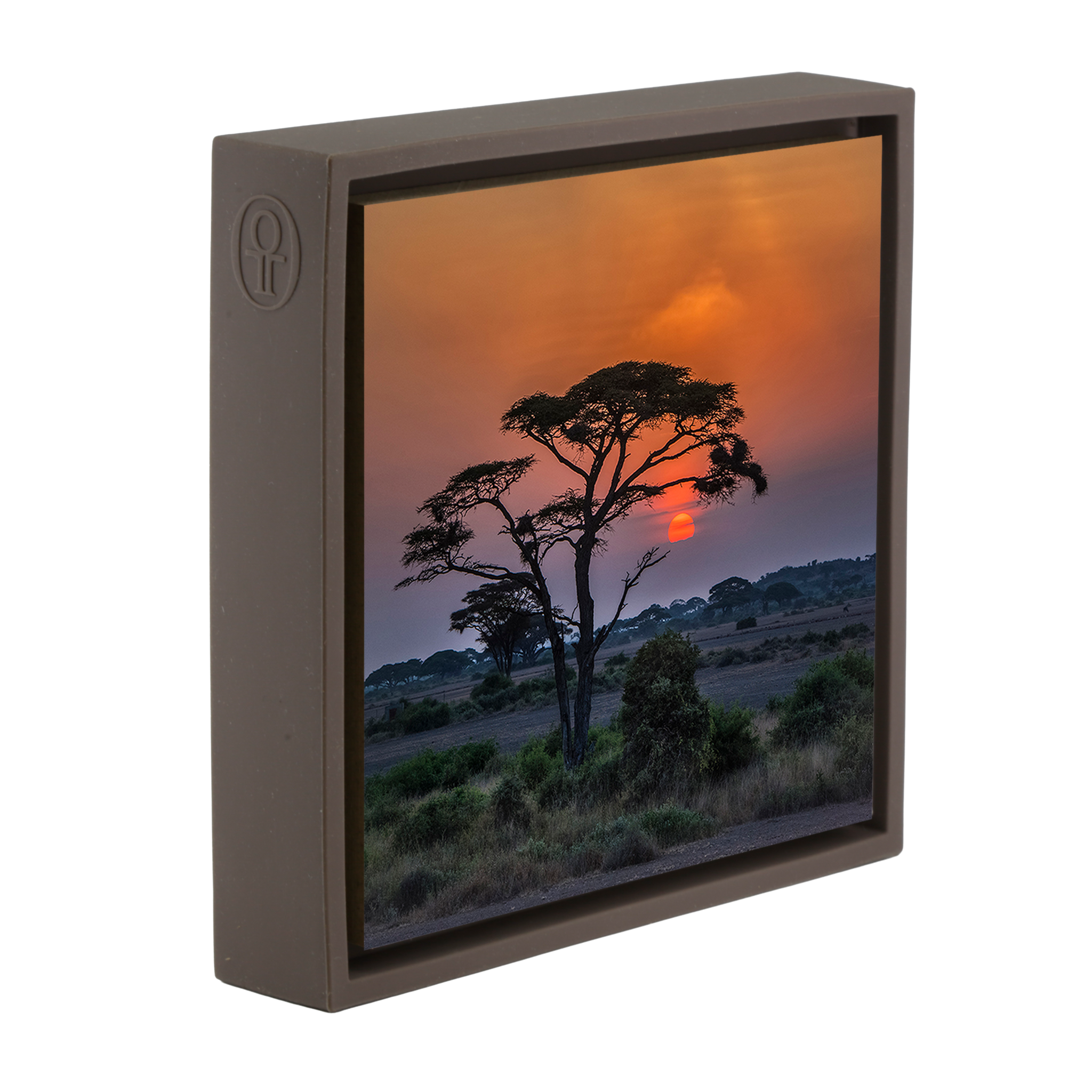 Sunset Tree - Bruine Wrapp