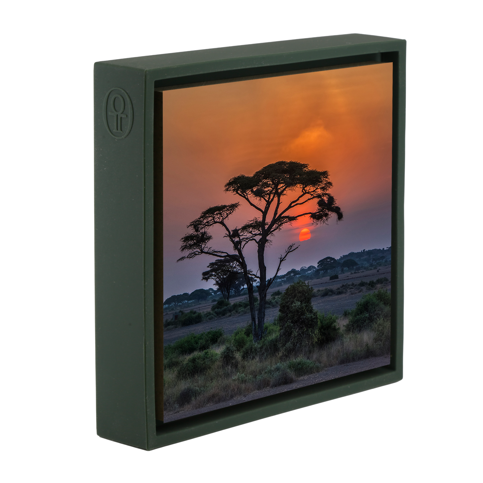 Sunset Tree - Donkergroene Wrapp