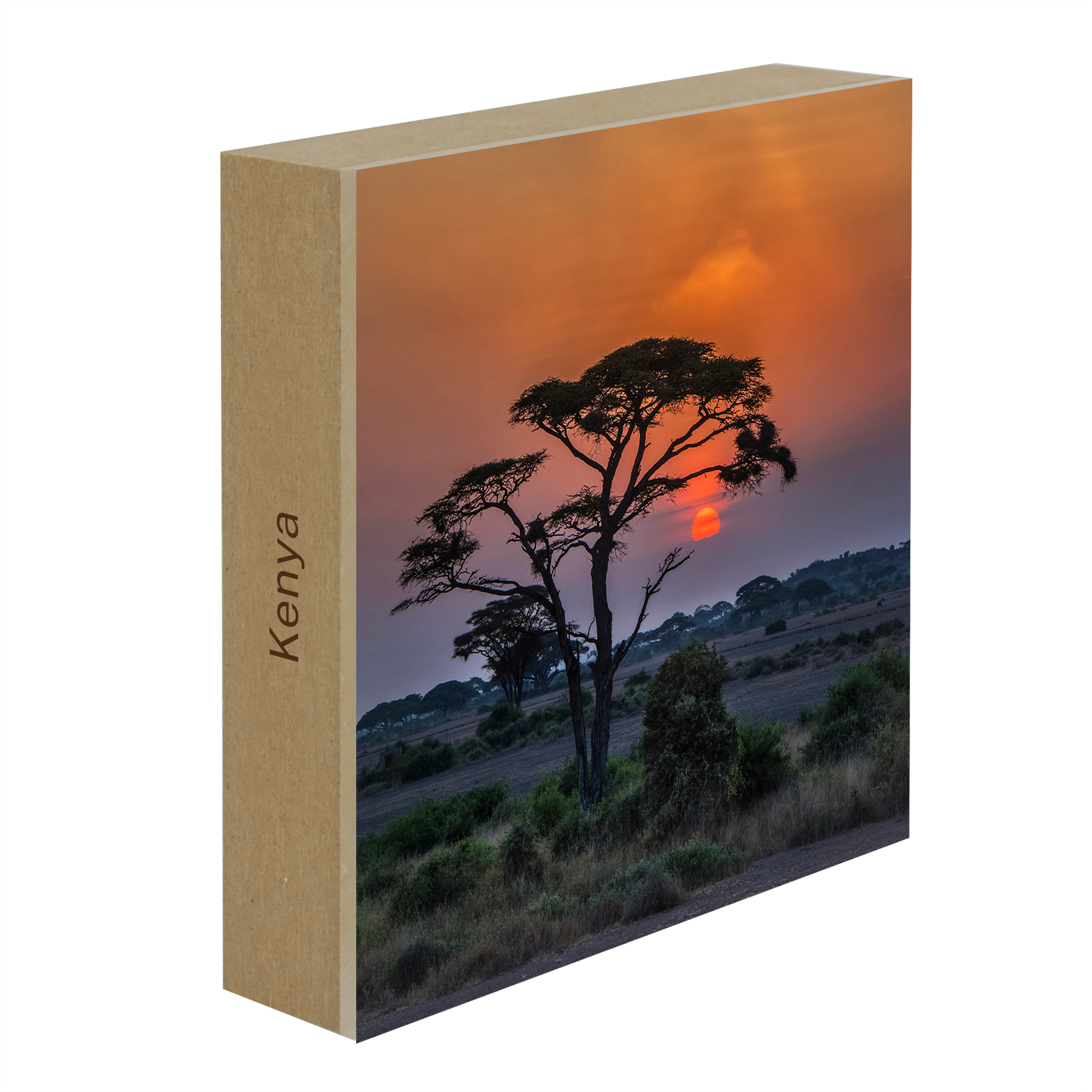 Sunset Tree - Collection: Kenya