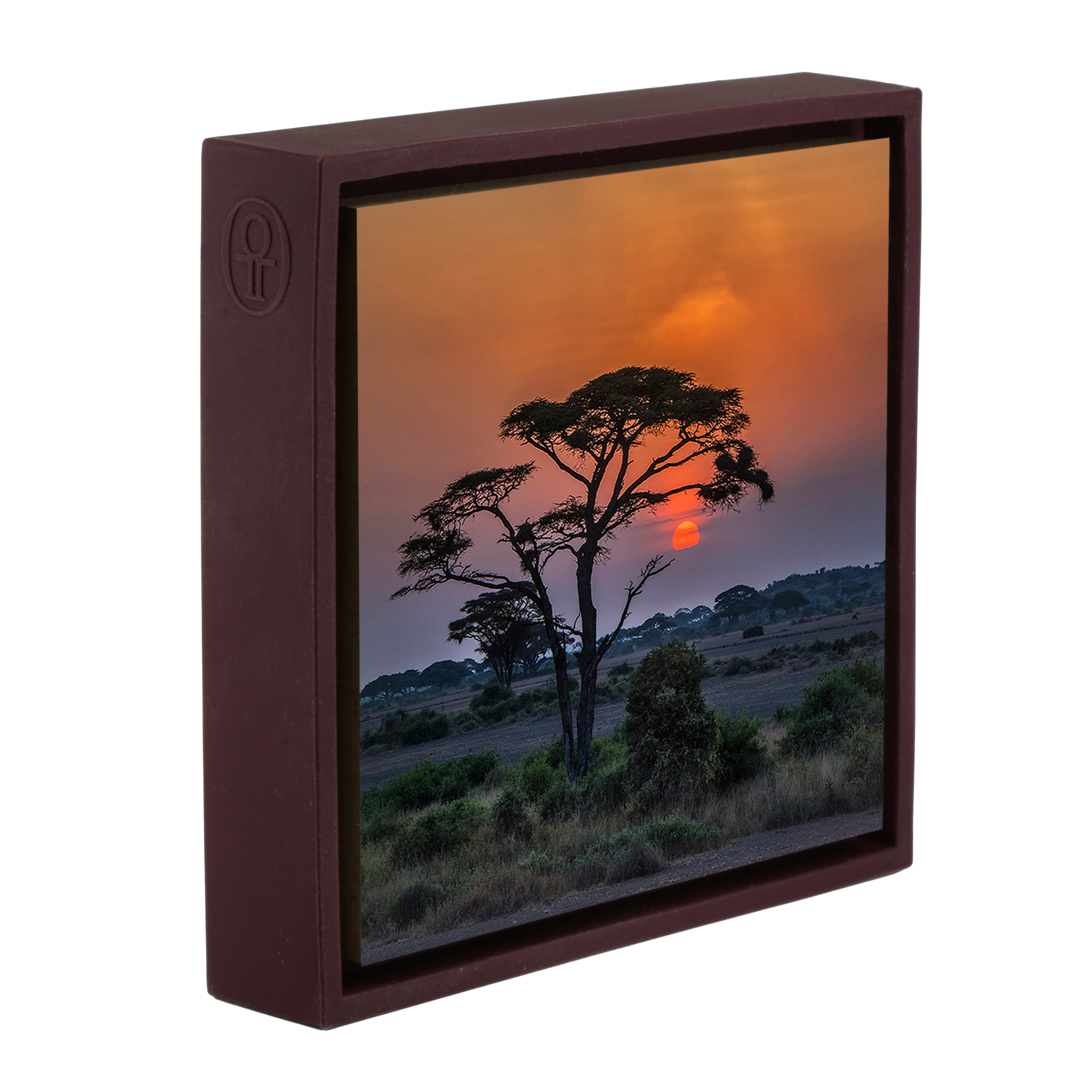 Sunset Tree - Purple Wrapp