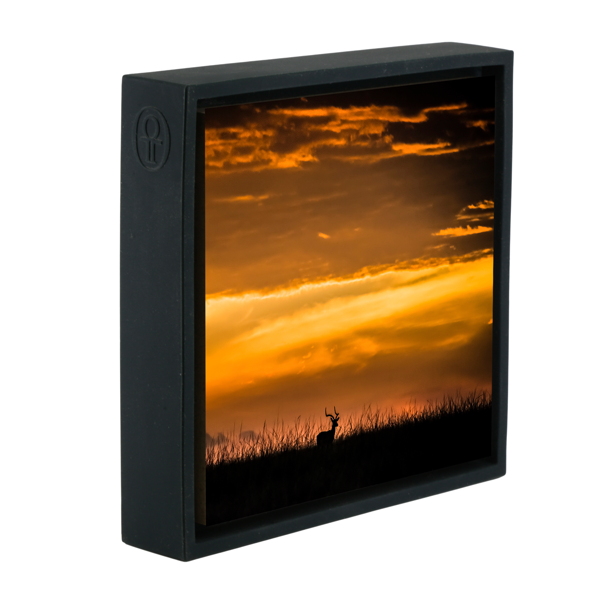 Kenya Impala- Black Wrapp