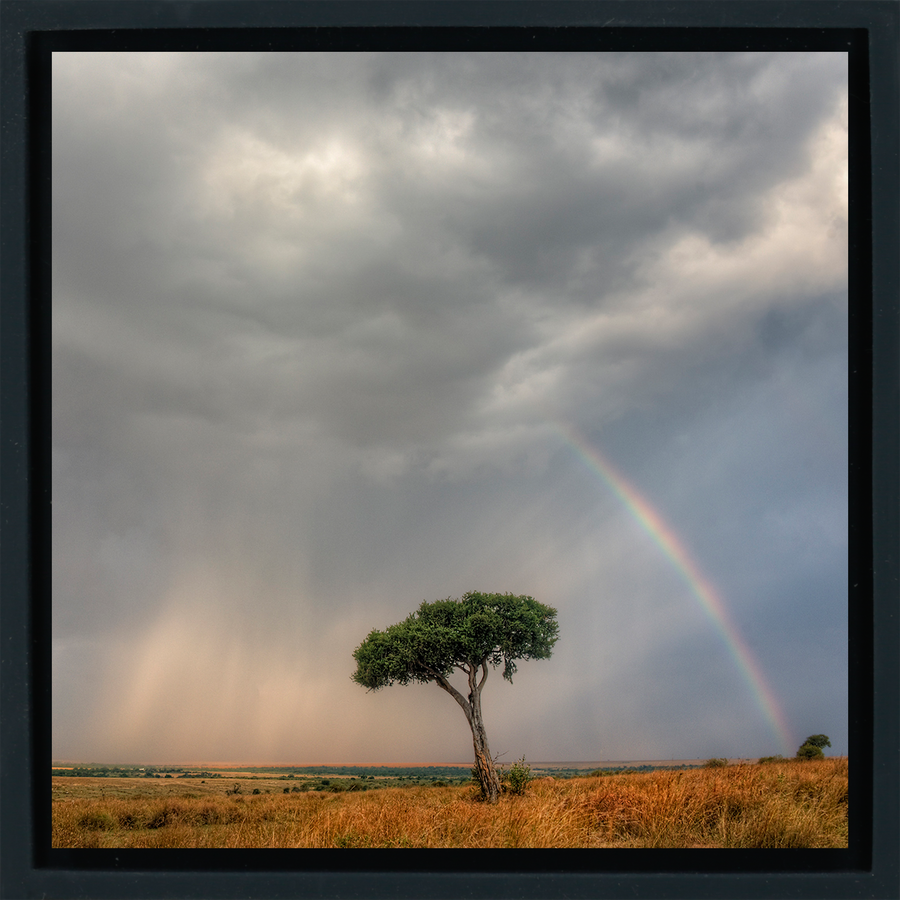 Masai Mara - Black Wrapp