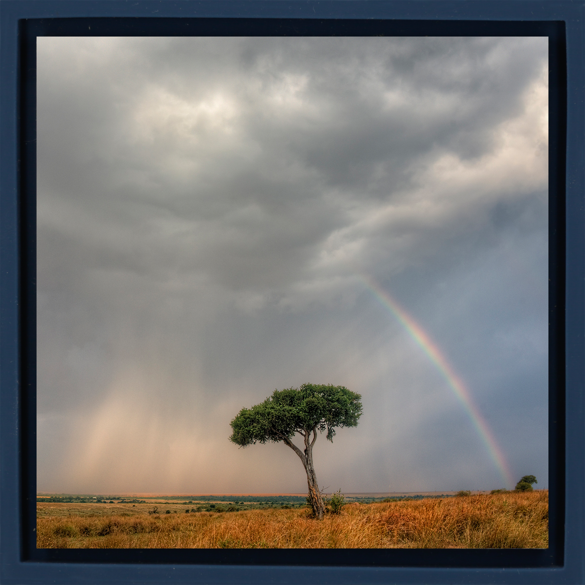 Masai Mara- Ochre Wrapp
