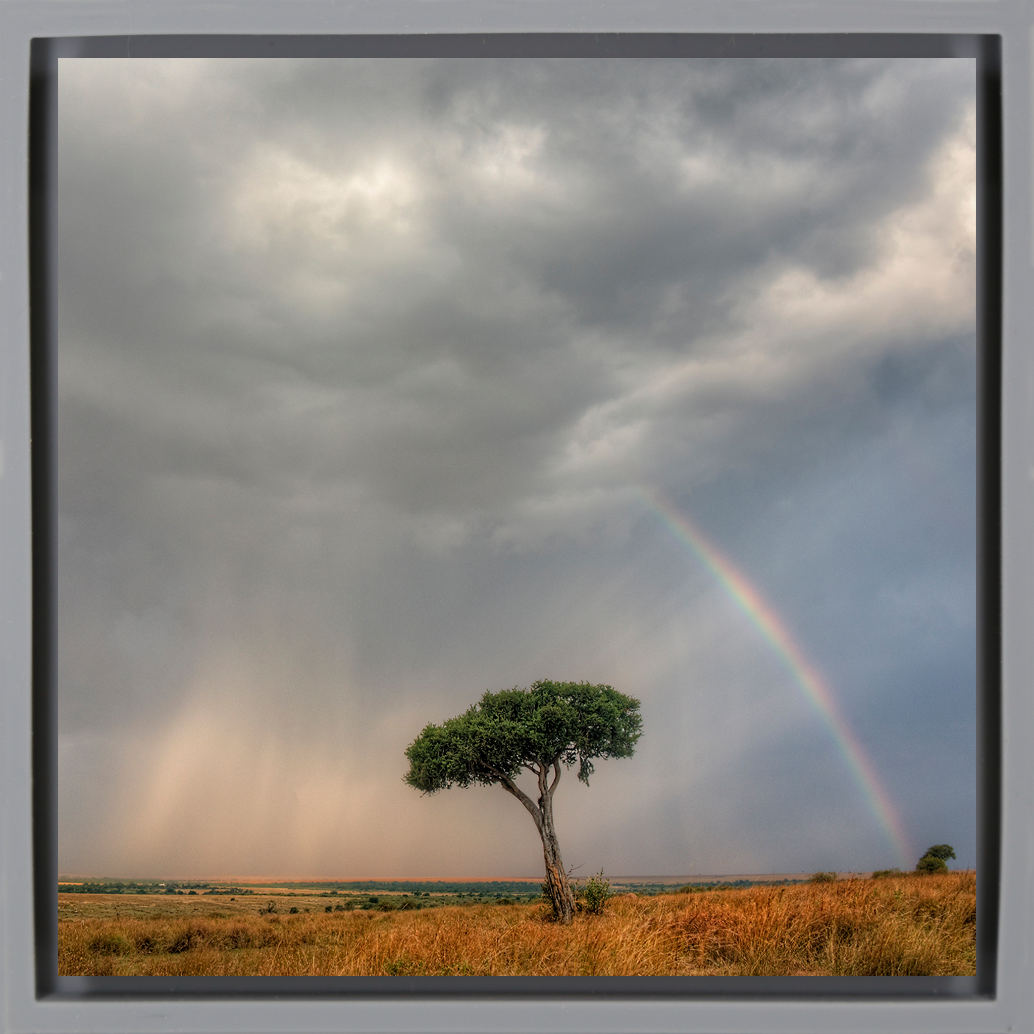 Masai Mara- Grey Wrapp