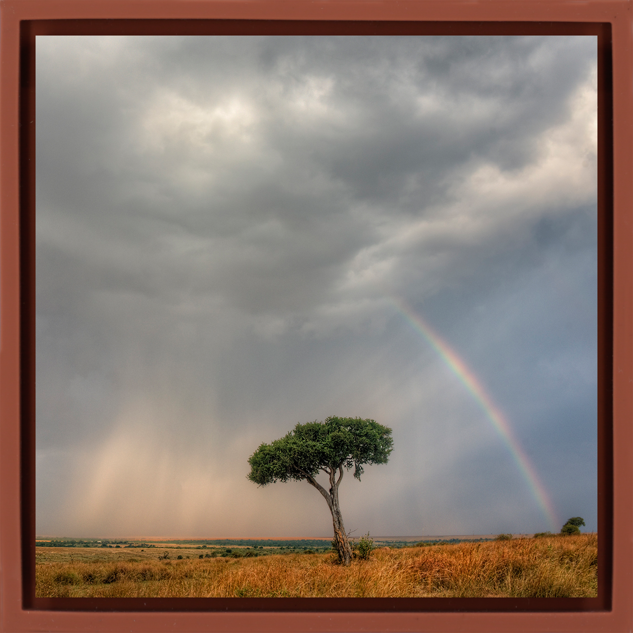 Masai Mara- Terra Wrapp