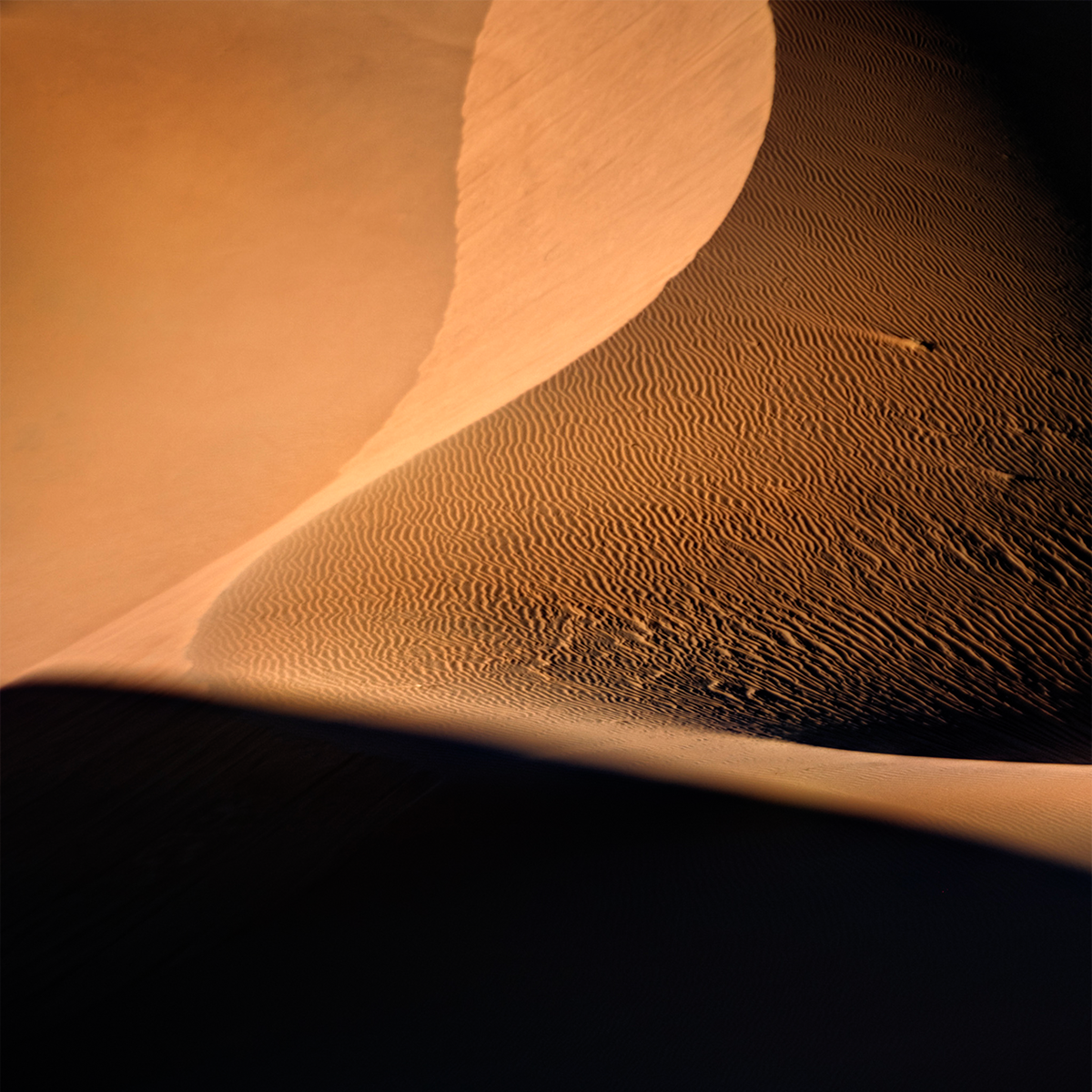 Morocco Dunes