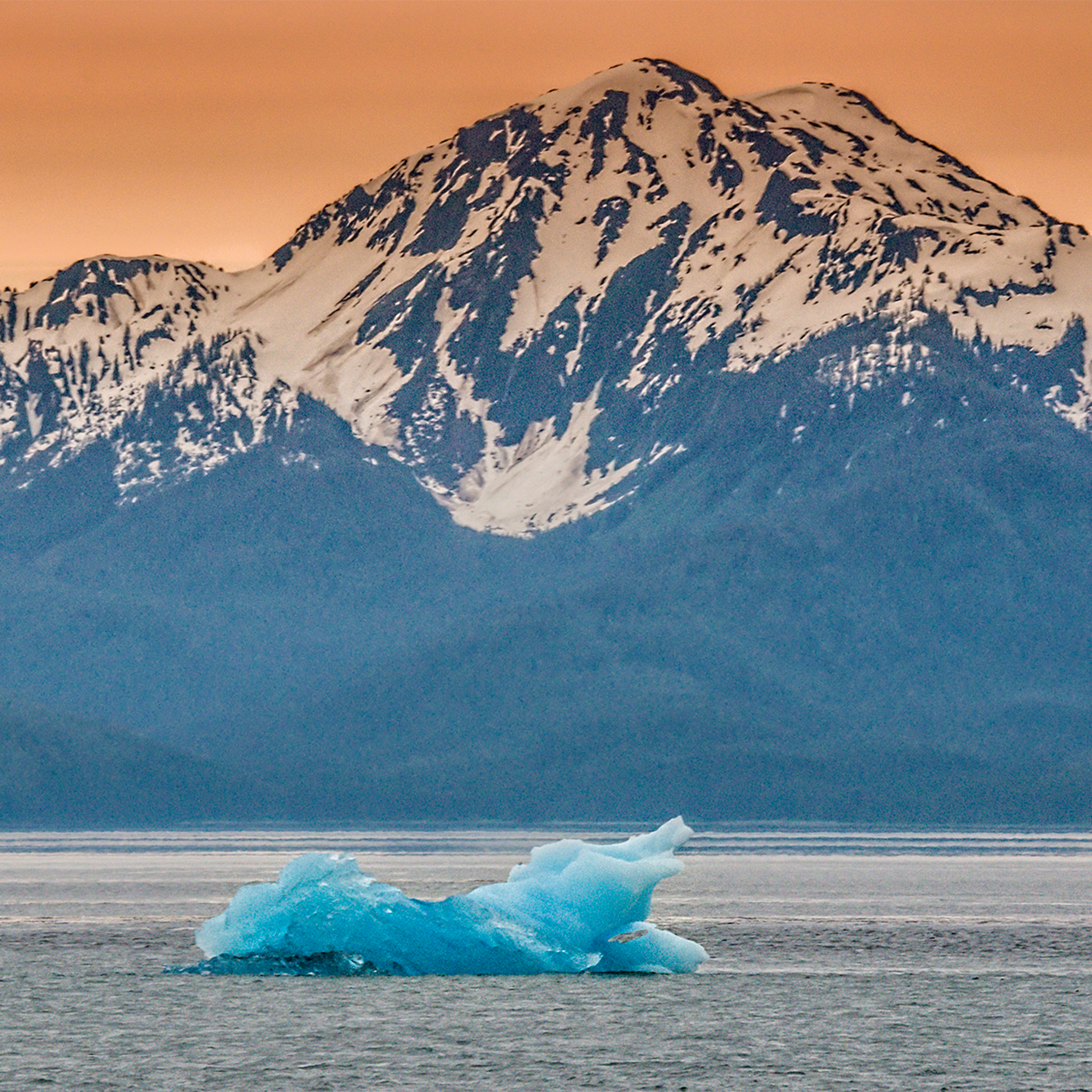 Alaska Iceberg- Collection: USA