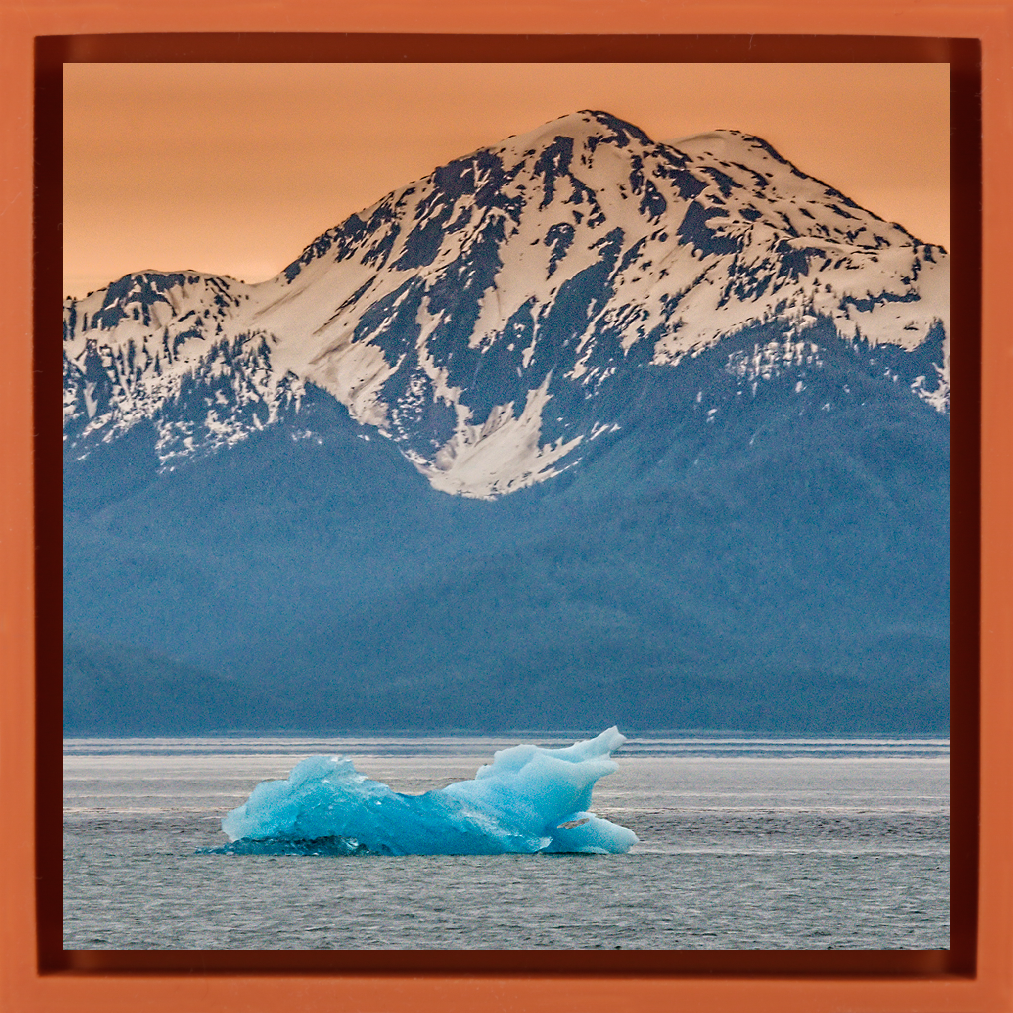 Alaska Iceberg- Orange Wrapp