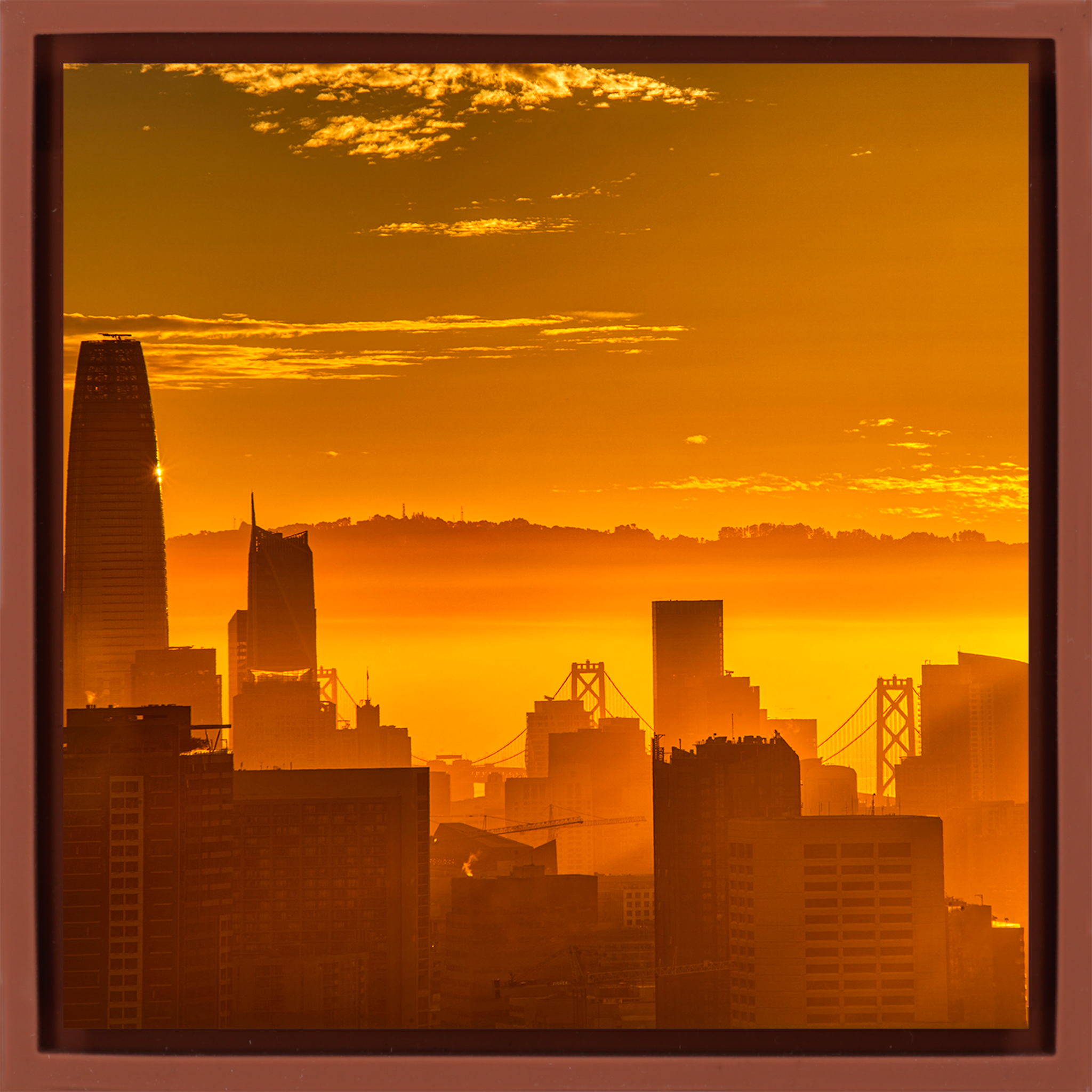 San Francisco Sunrise - Terra Wrapp