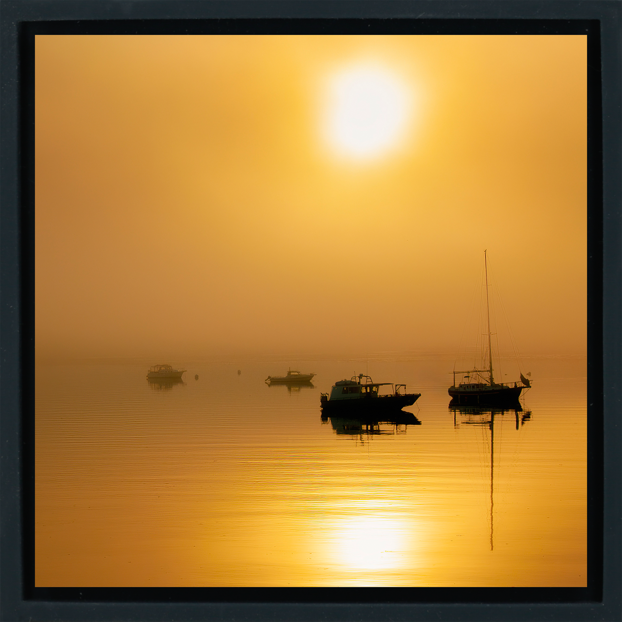 Alaska Harbor - Black Wrapp