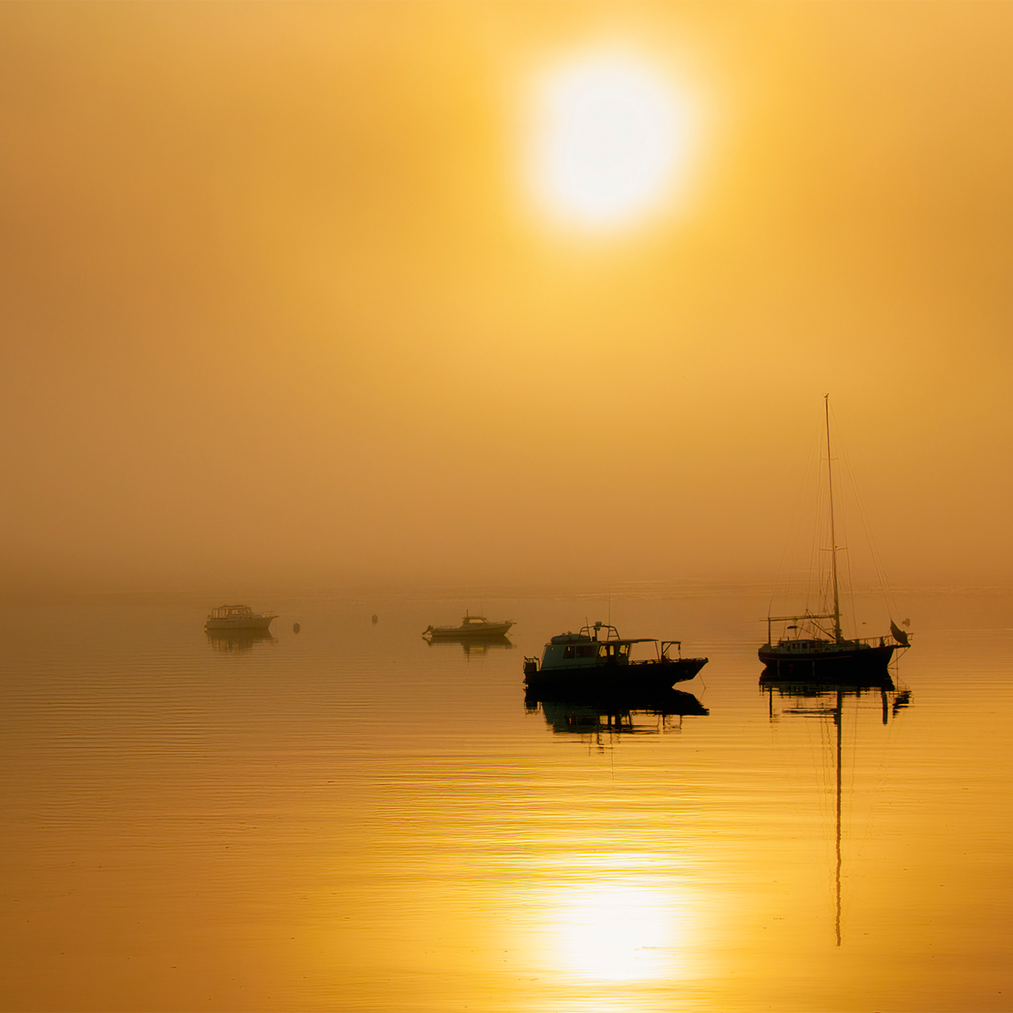Alaska Harbor - Collection: USA