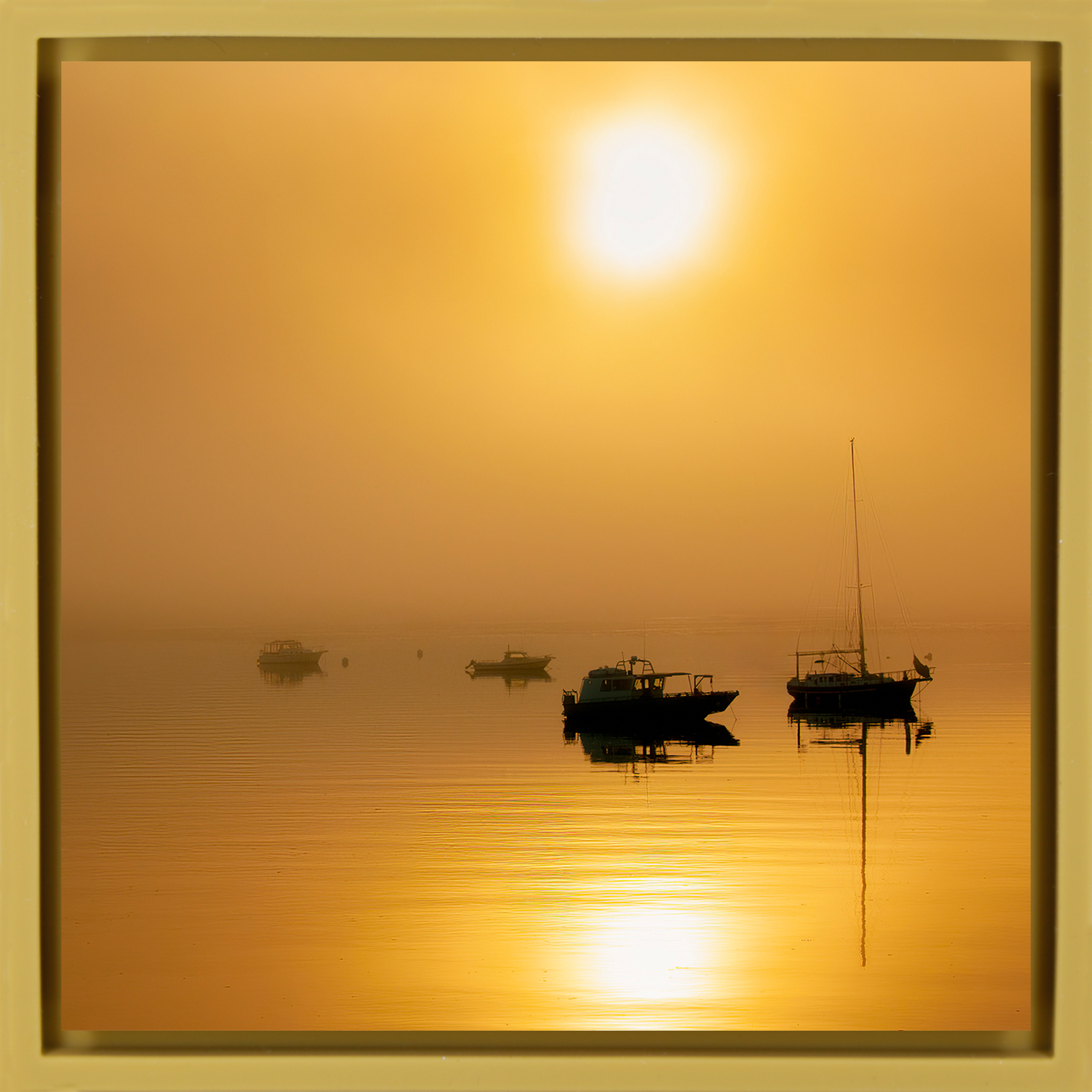 Alaska Harbor - Ochre Wrapp