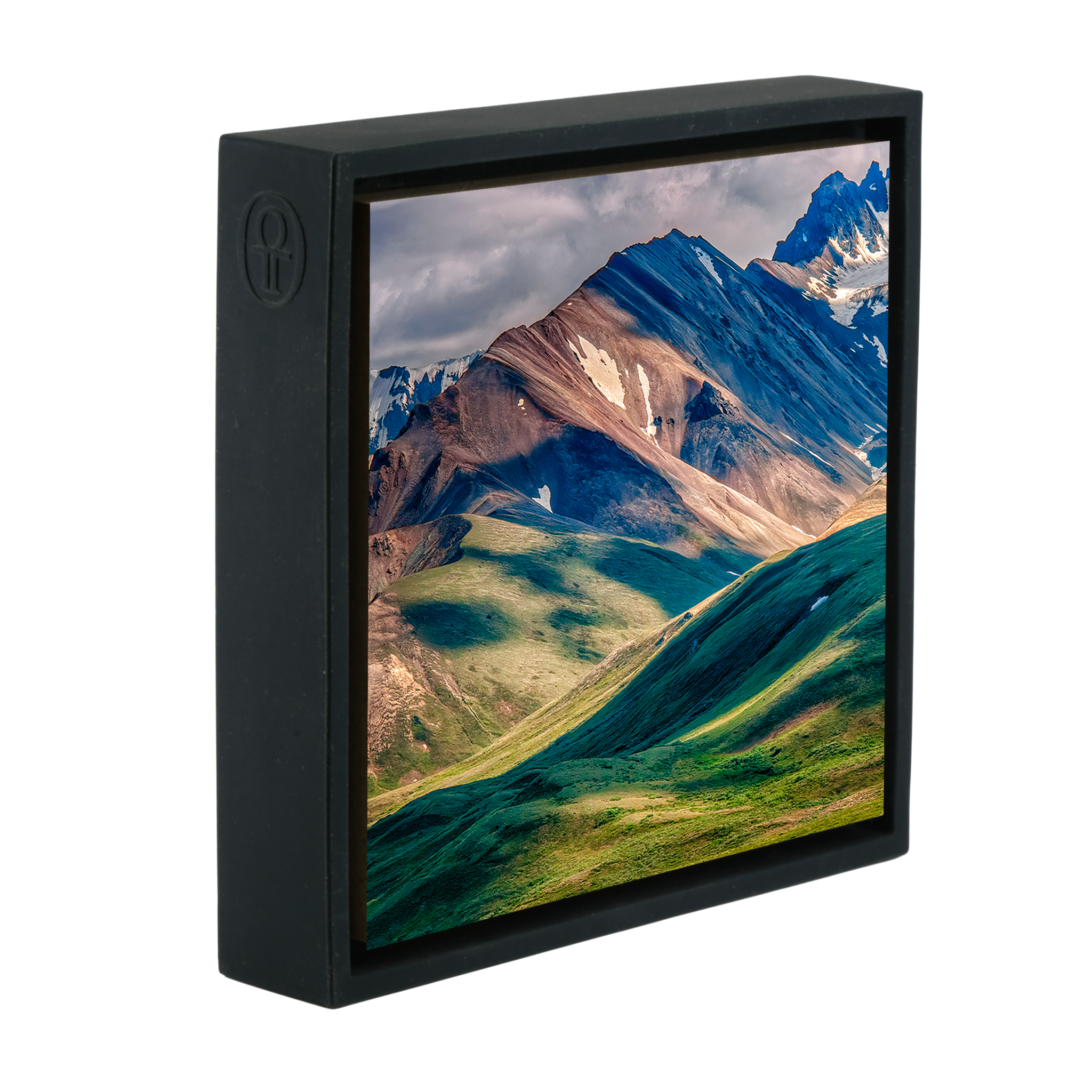 Denali National Park - Black Wrapp