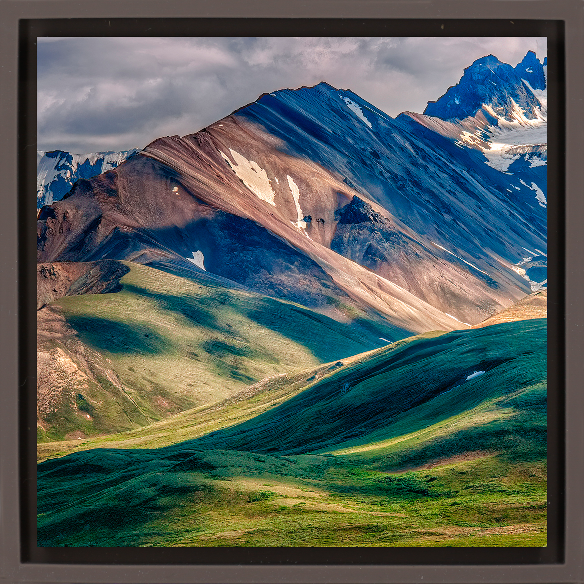 Denali National Park - Brown Wrapp