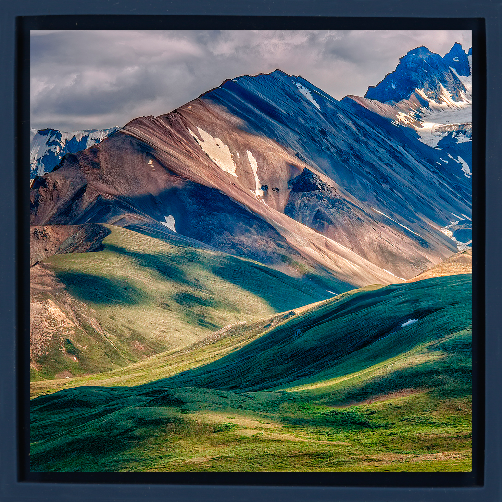 Denali National Park - Dark Blue Wrapp