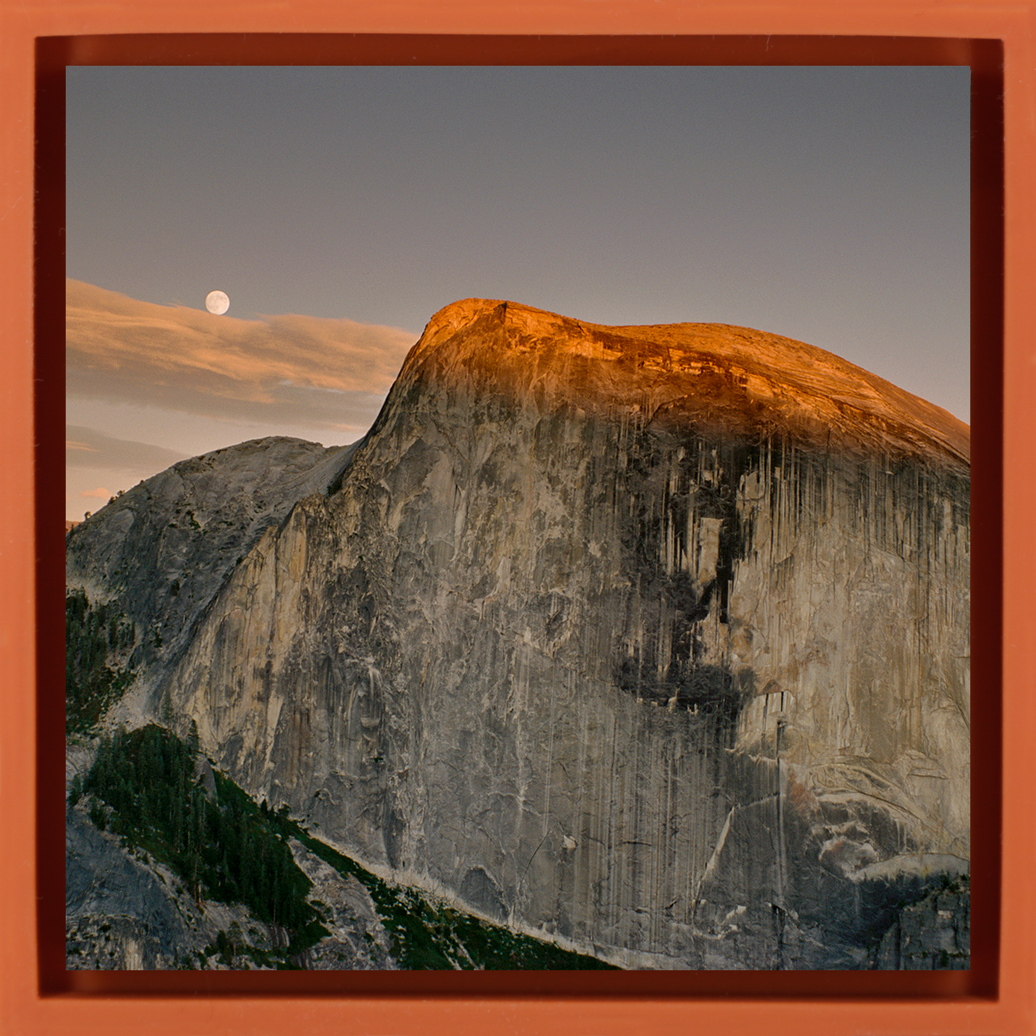Half Dome - Oranje Wrapp