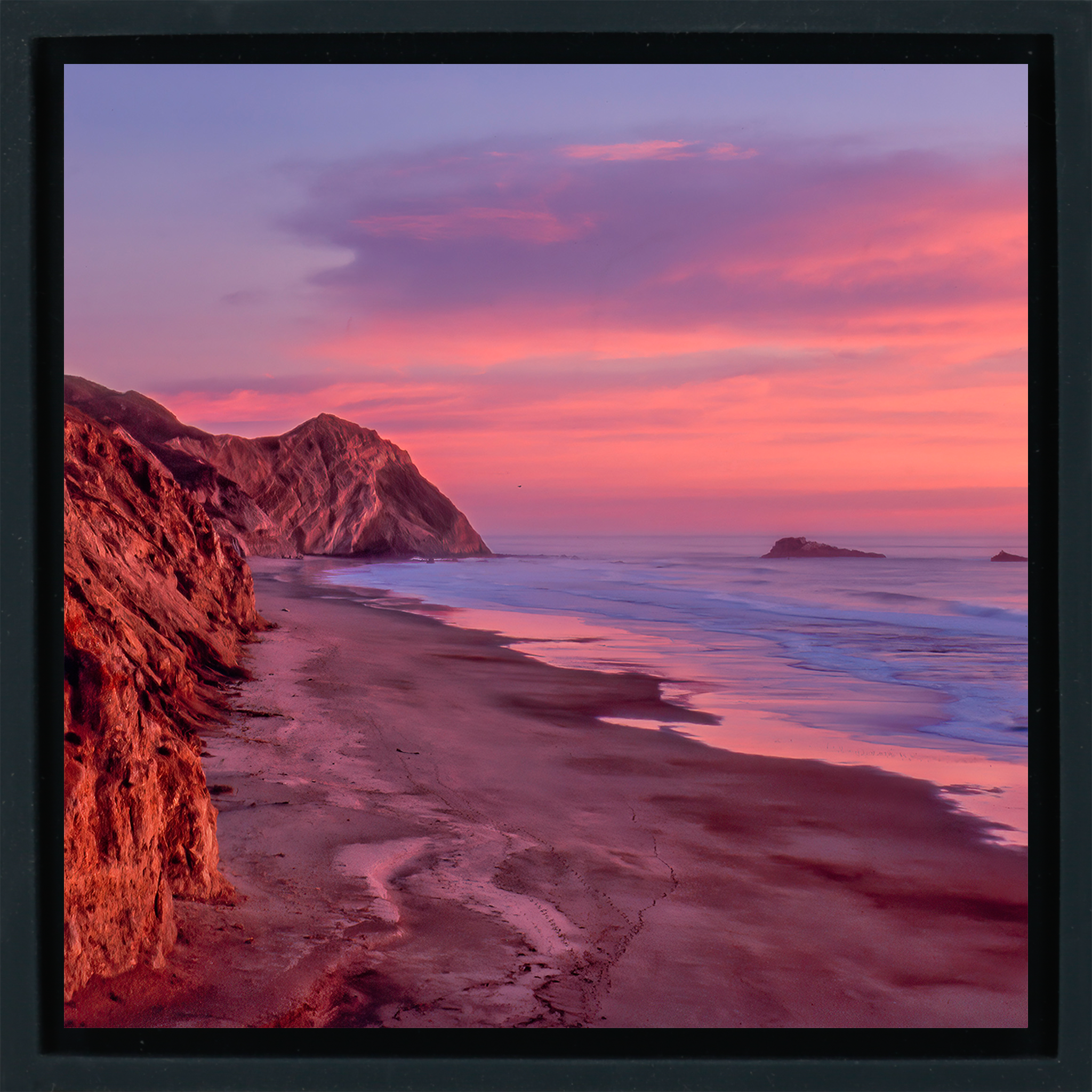 Wild Cat Point Reyes - Black Wrapp