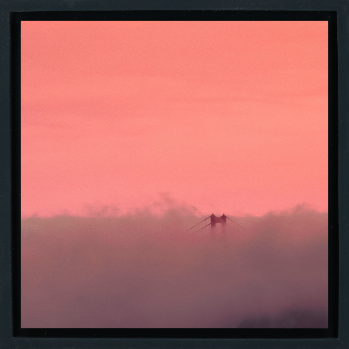 Golden Gate Fog