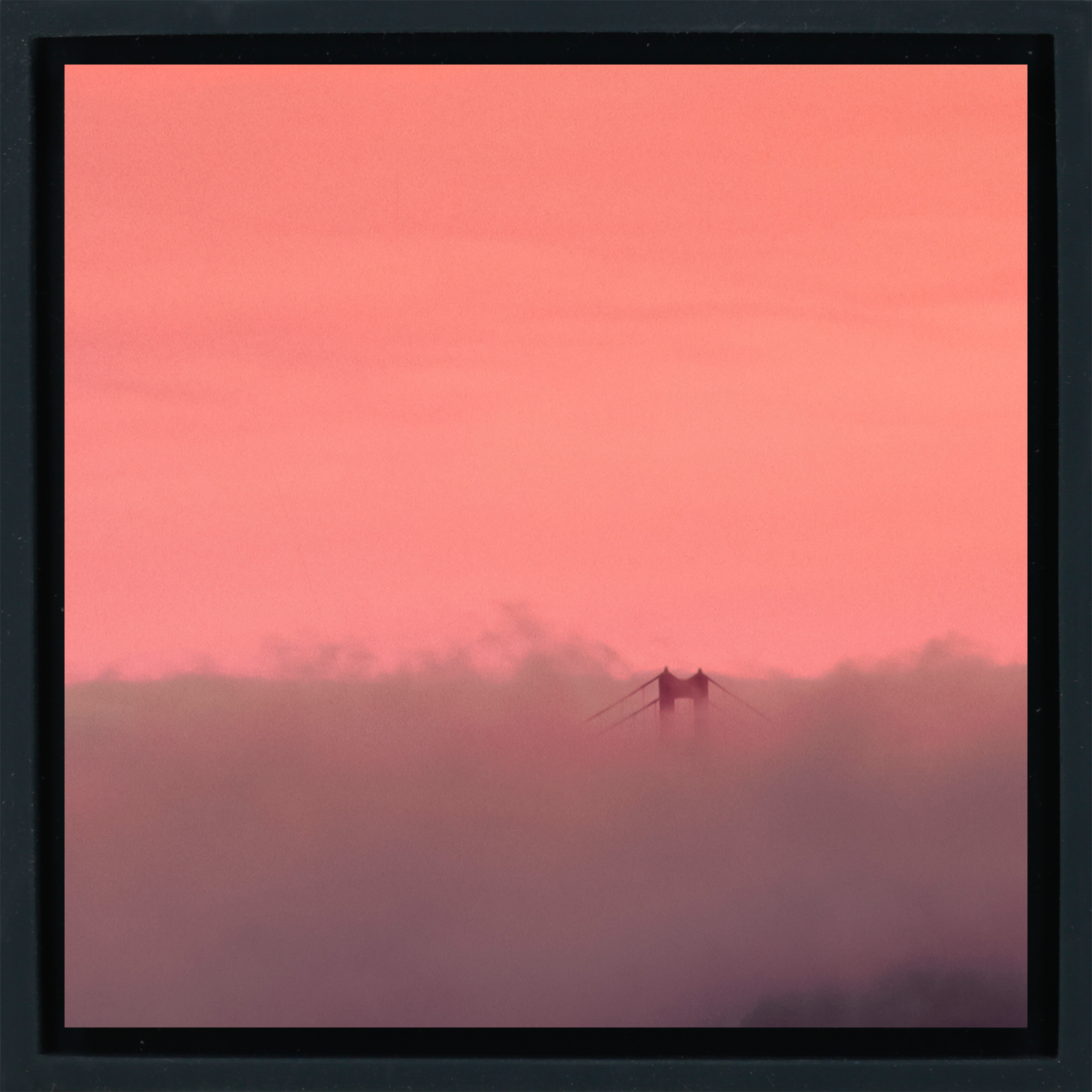 Golden Gate Fog- Black Wrapp