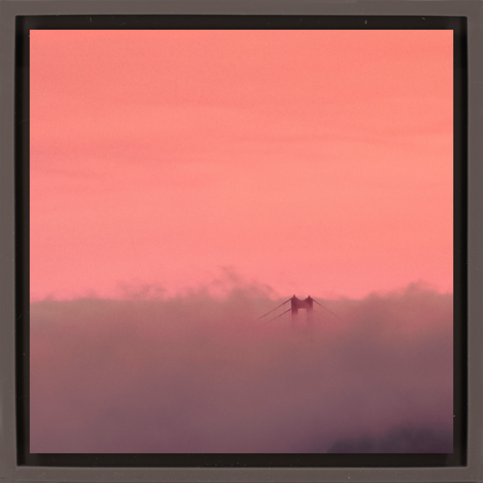 Golden Gate Fog- Brown Wrapp