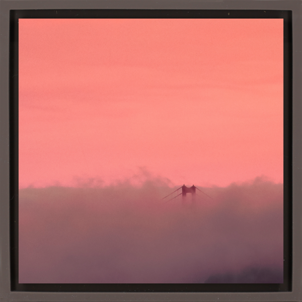 Golden Gate Fog - Brown Wrapp