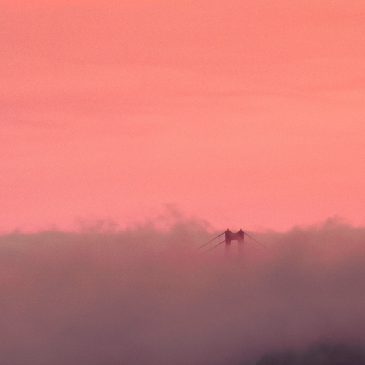 Golden Gate Fog
