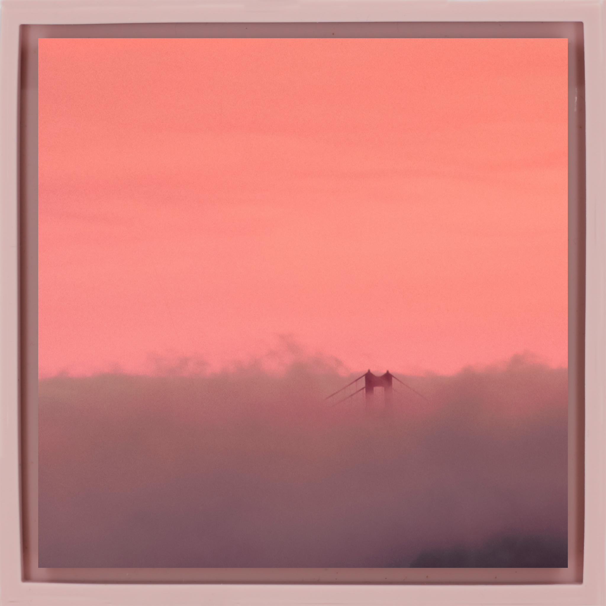 Golden Gate Fog- Pink Wrapp