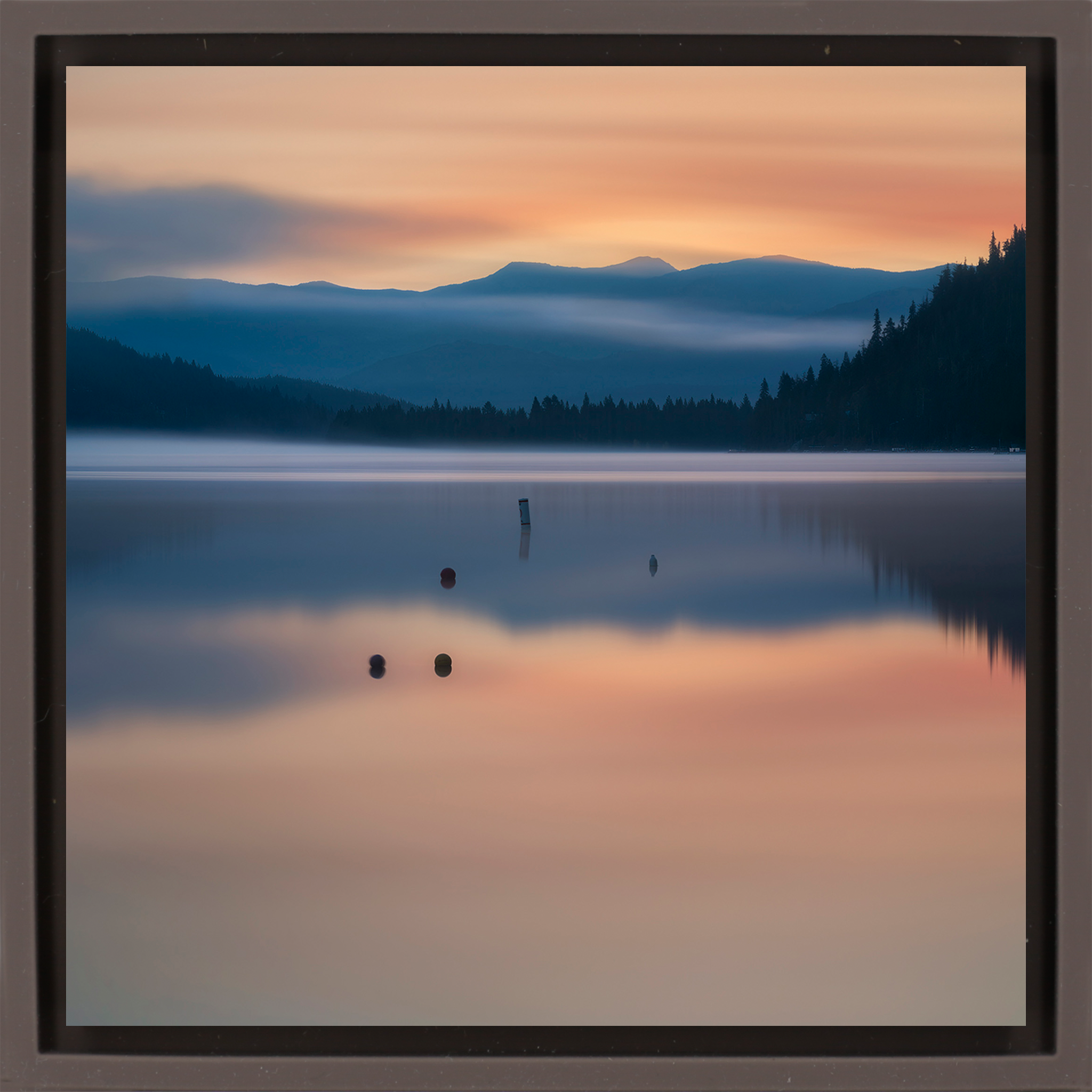 Lake Donner Piles - Bruine Wrapp