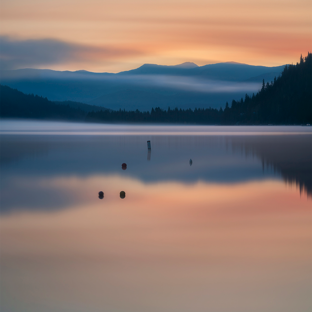 Lake Donner Piles