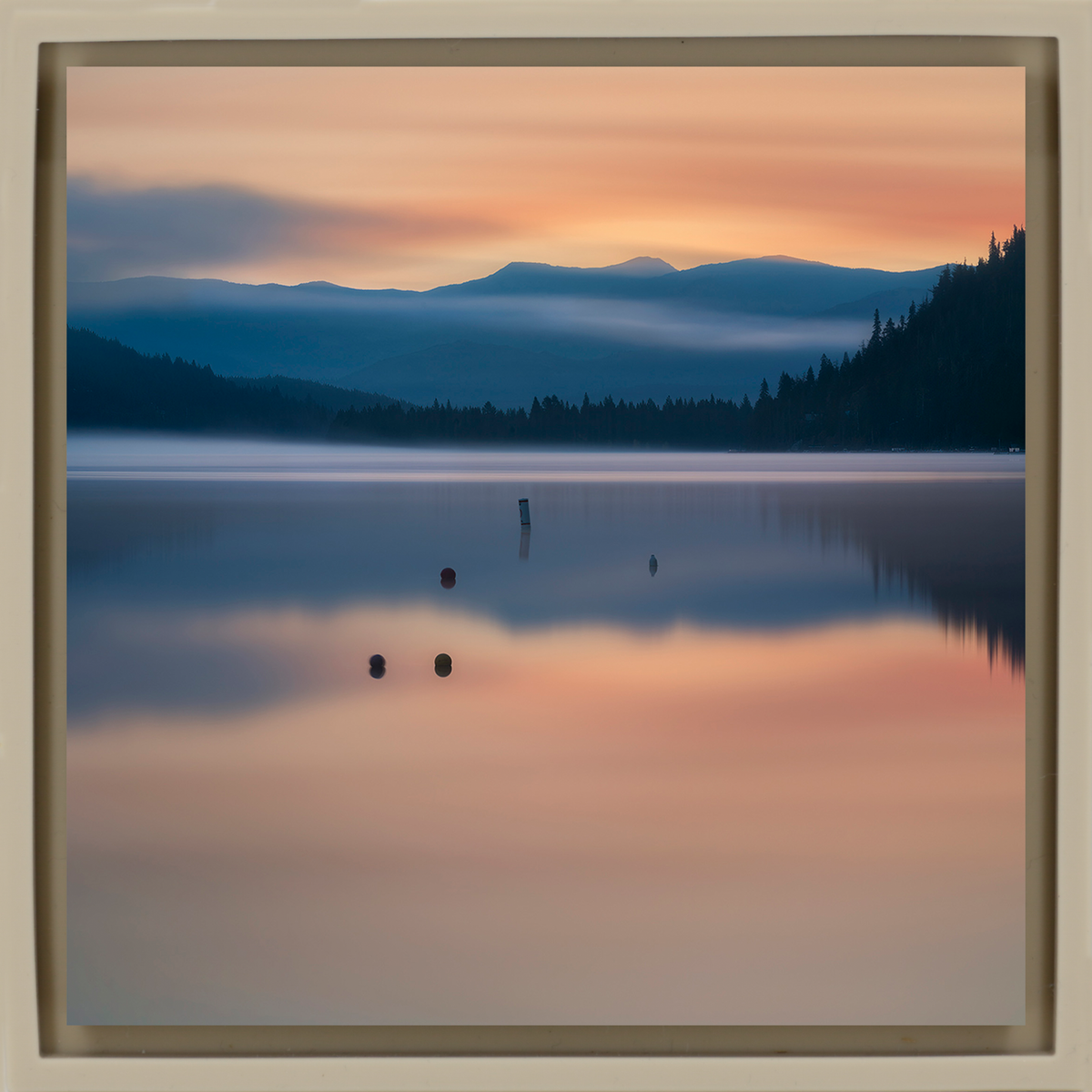 Lake Donner Piles