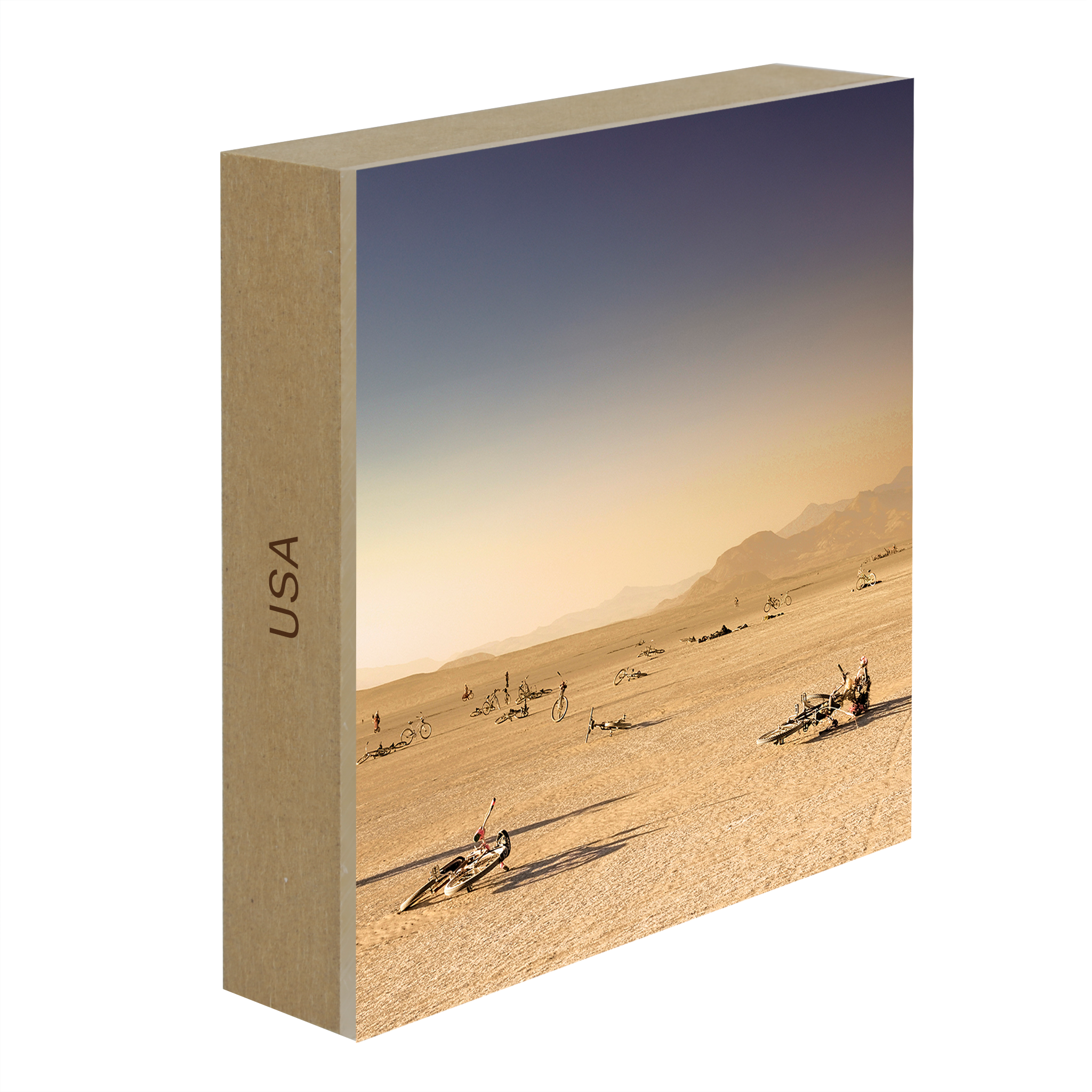 Bicycle Graveyard Burning Man- Collection: USA